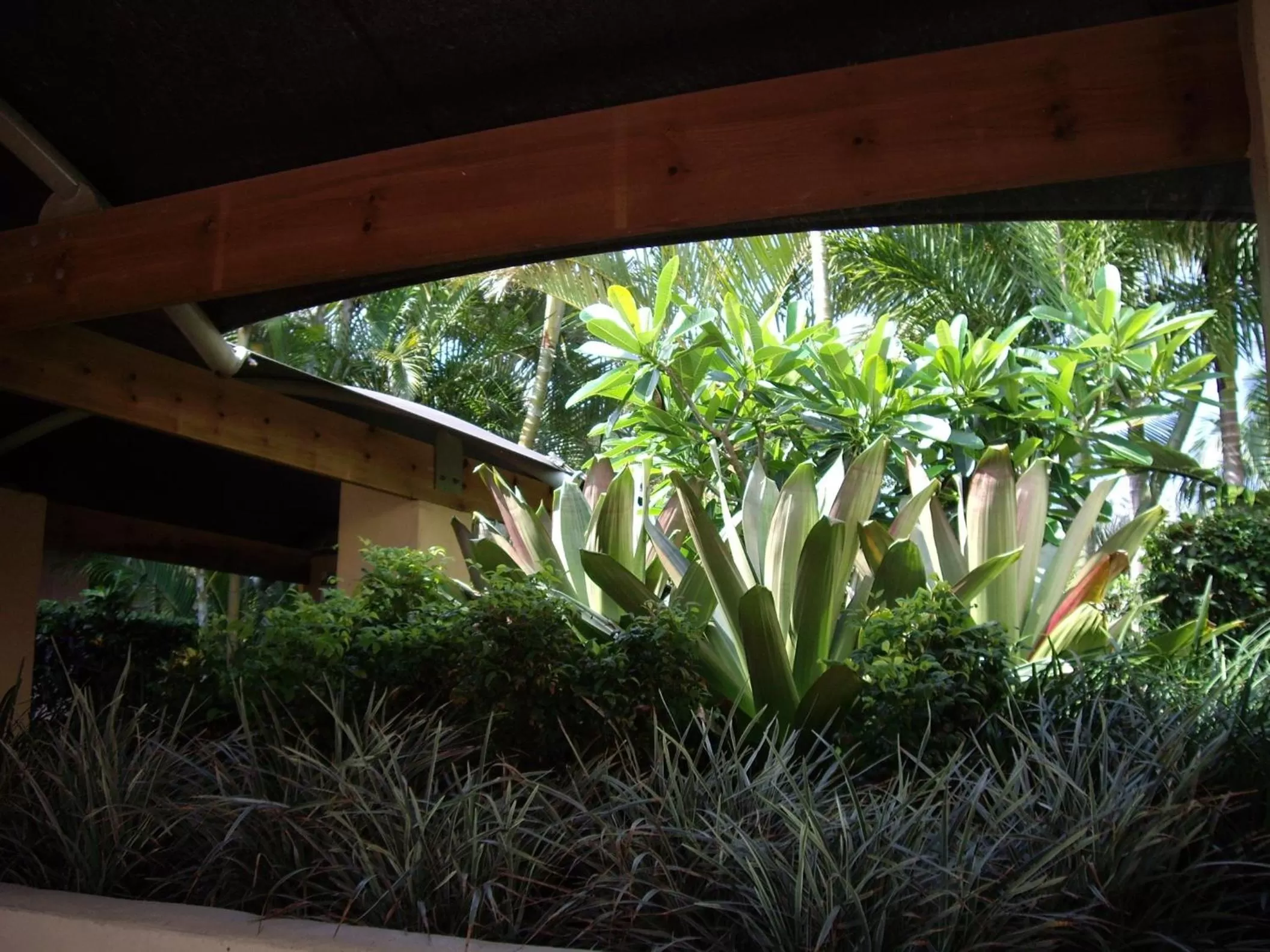 Facade/entrance in Bila Vista Kirra Beachside Apartments