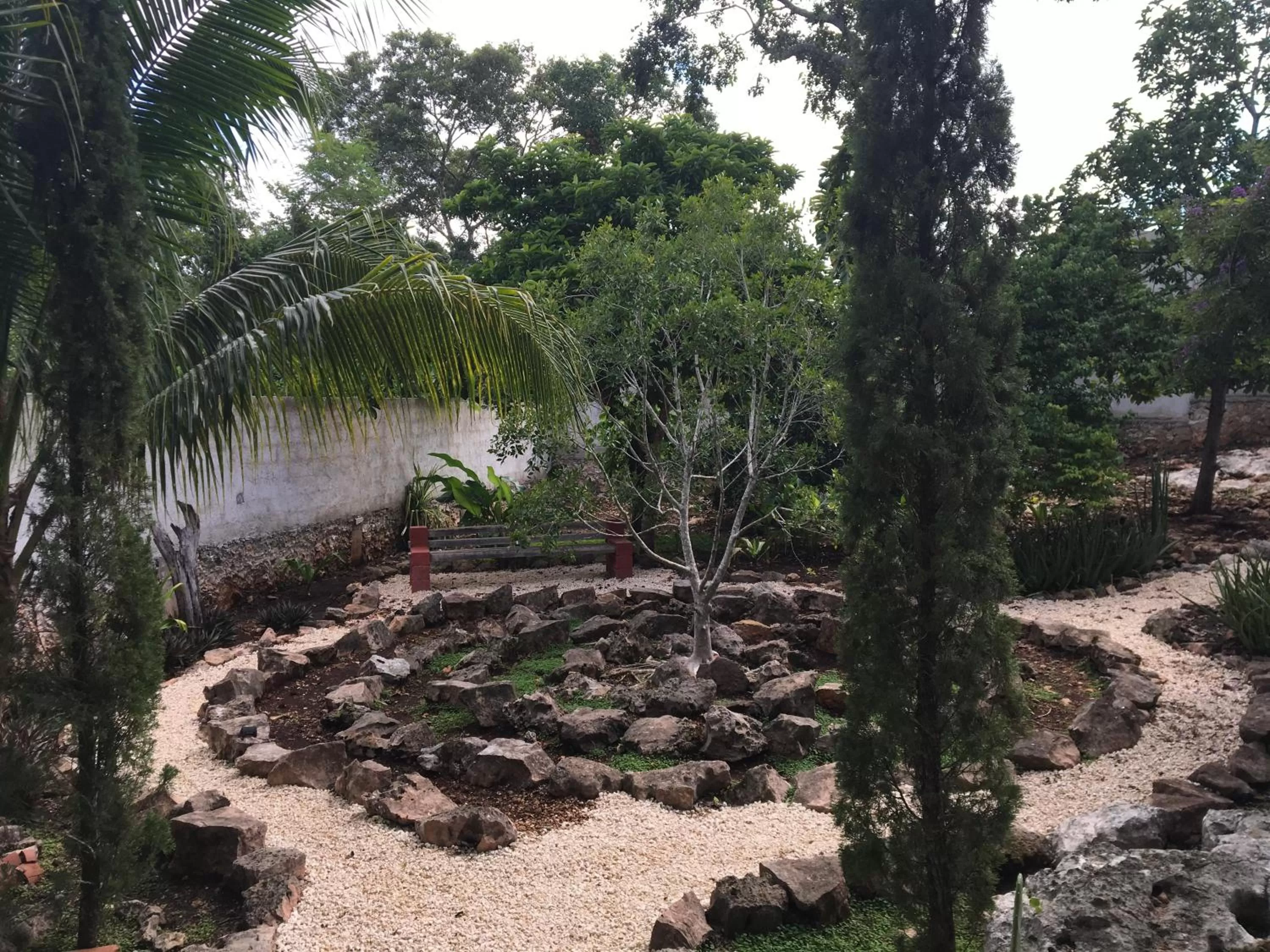 Garden in The Pickled Onion Eco-Boutique B&B