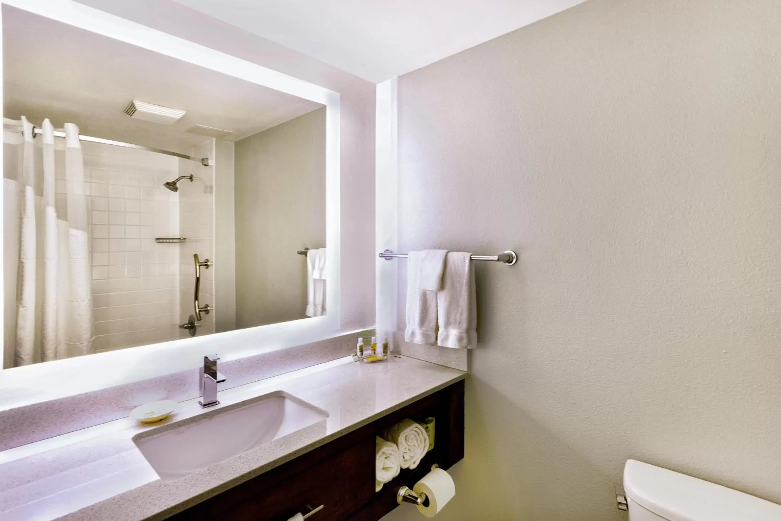 Bathroom in Holiday Inn Miami West - Airport Area, an IHG Hotel