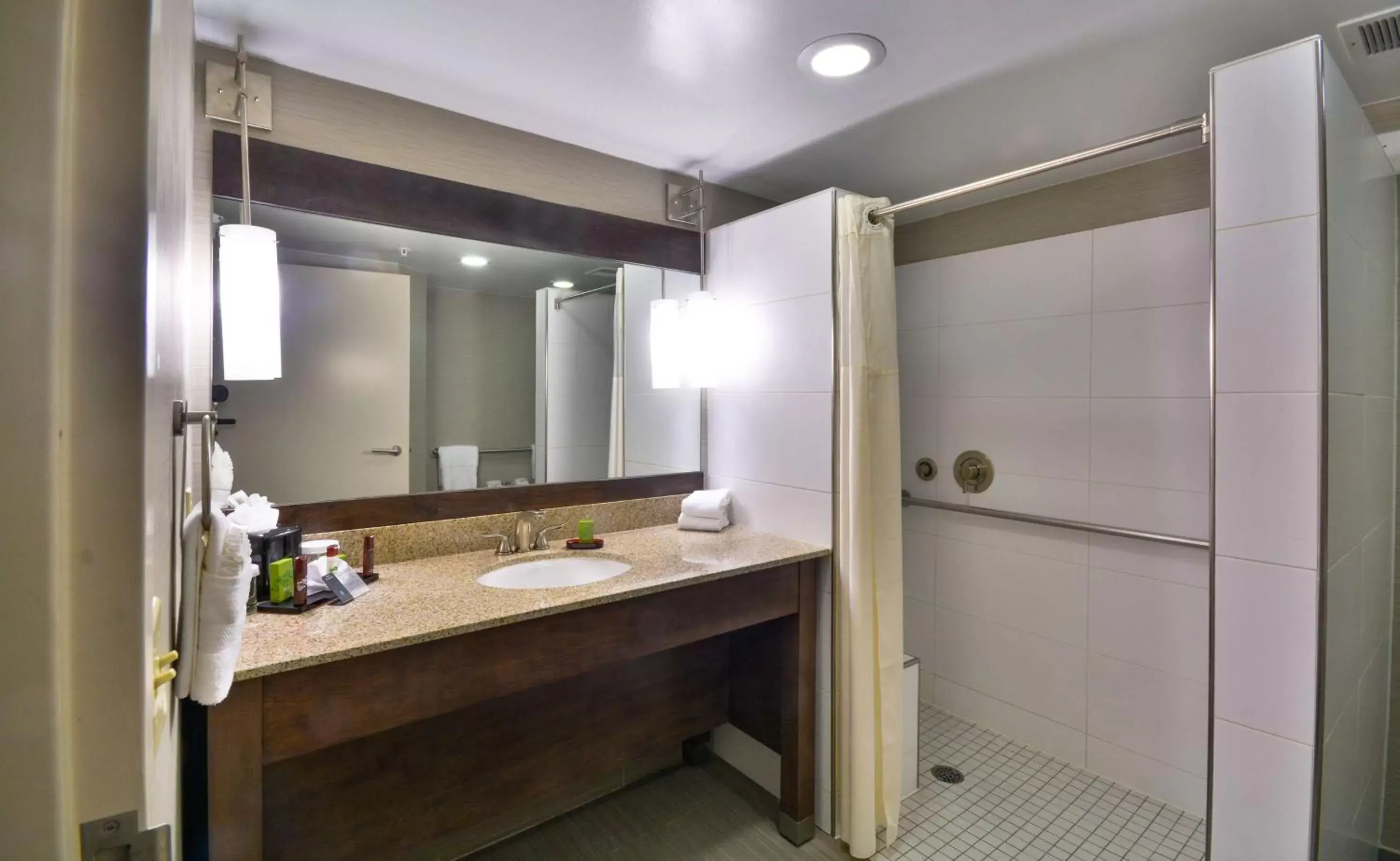 Bathroom in Embassy Suites by Hilton Denver Central Park