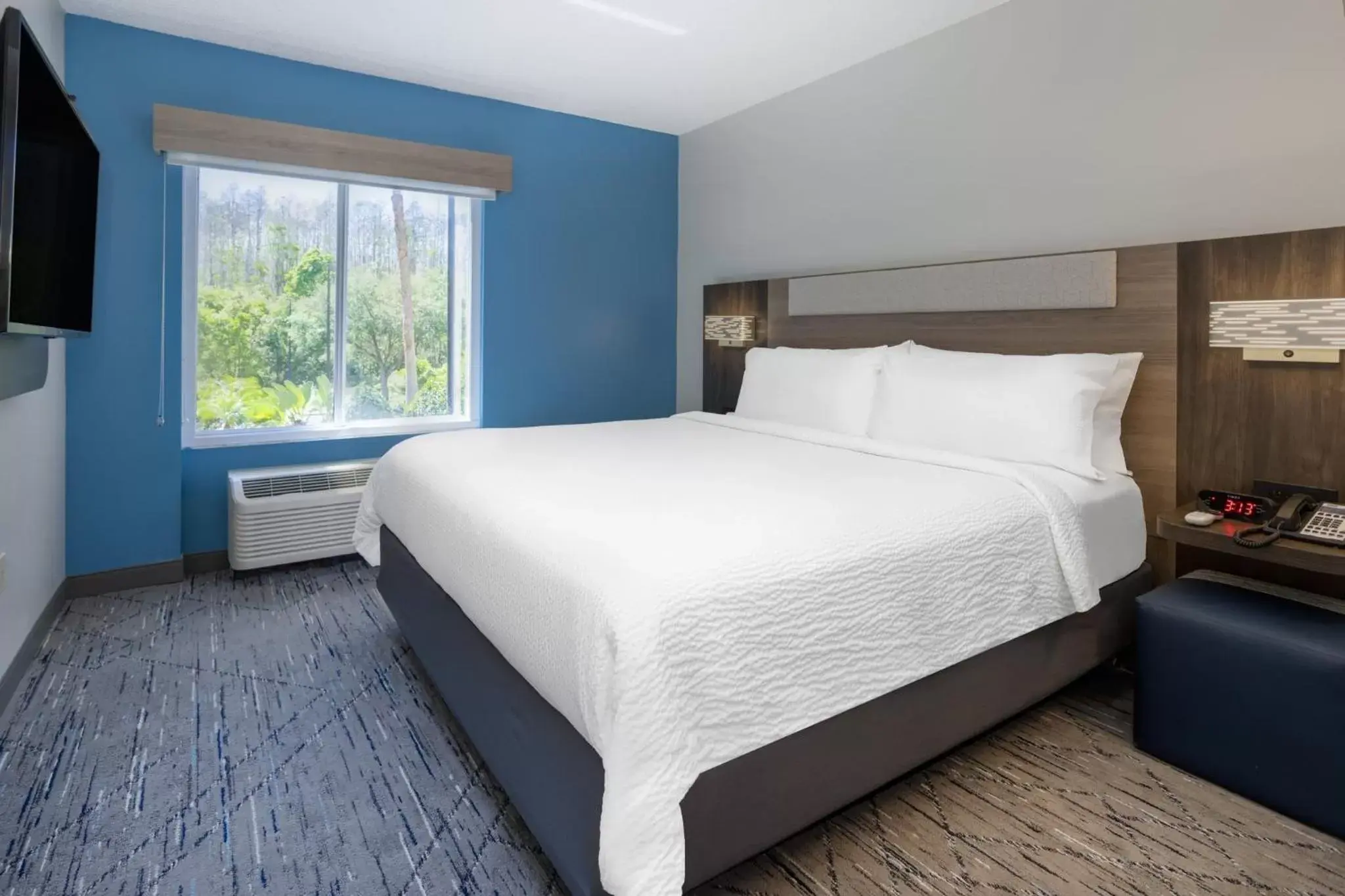 Bedroom, Bed in Holiday Inn Express and Suites Tampa I-75 at Bruce B. Downs, an IHG Hotel