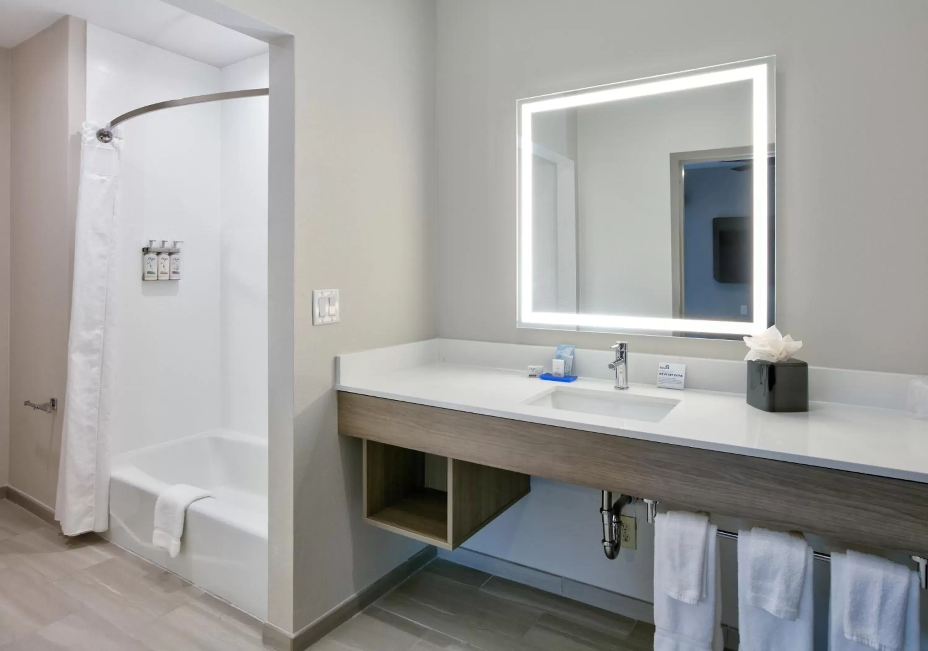 Shower, Bathroom in Holiday Inn Express & Suites North Dallas at Preston, an IHG Hotel