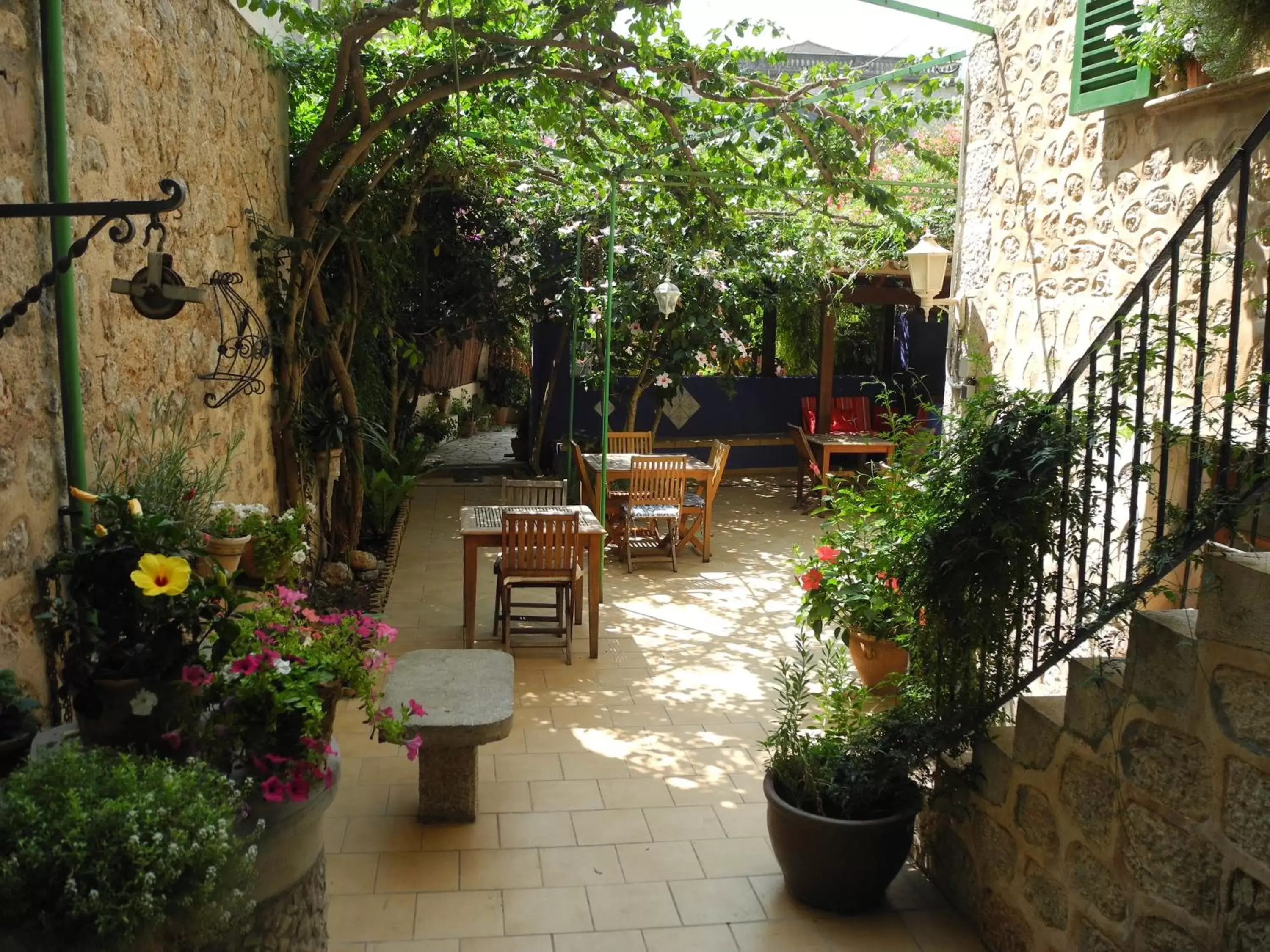 Balcony/Terrace in Casa Bougainvillea