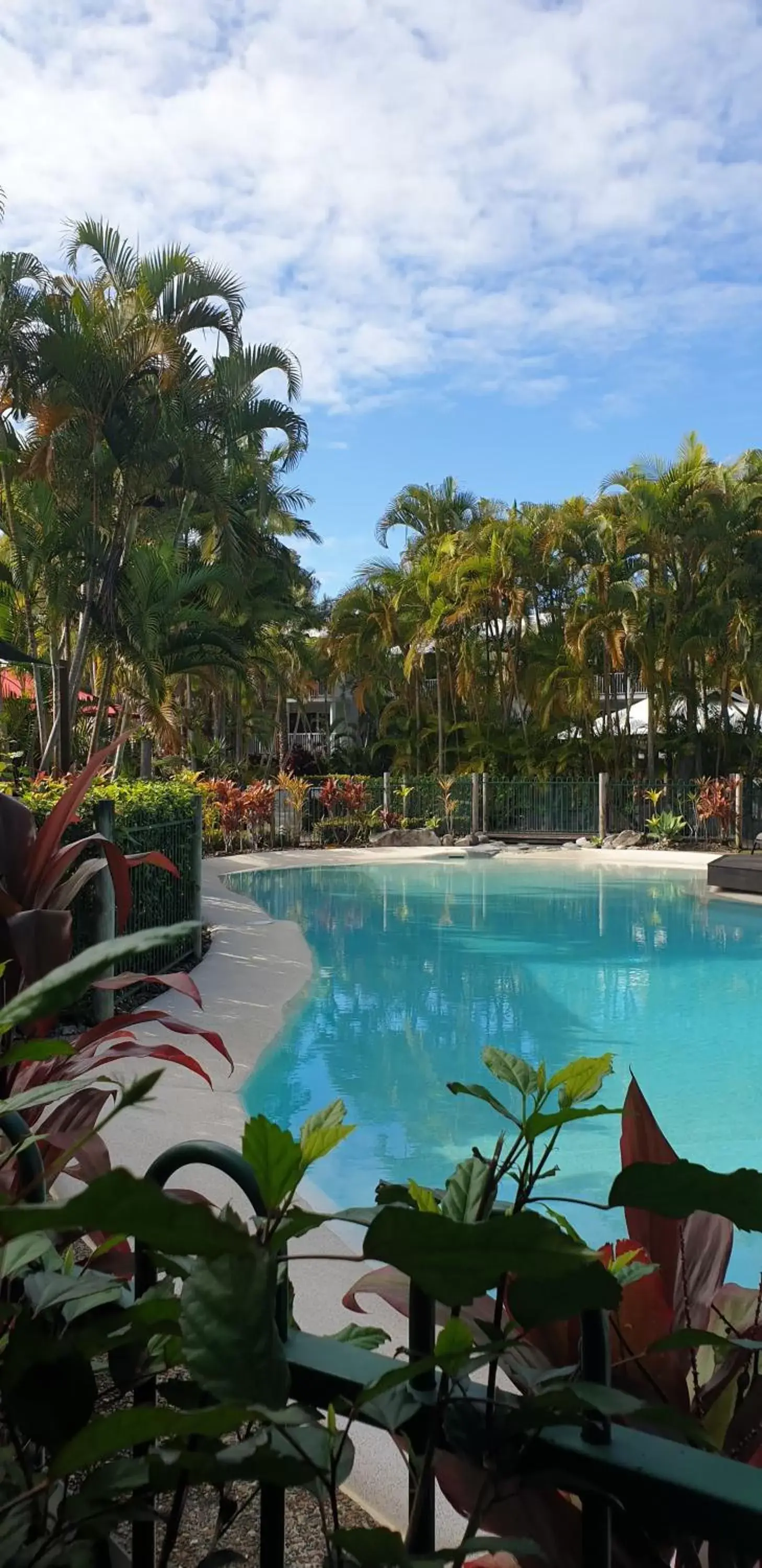 Garden, Swimming Pool in South Pacific Resort & Spa Noosa