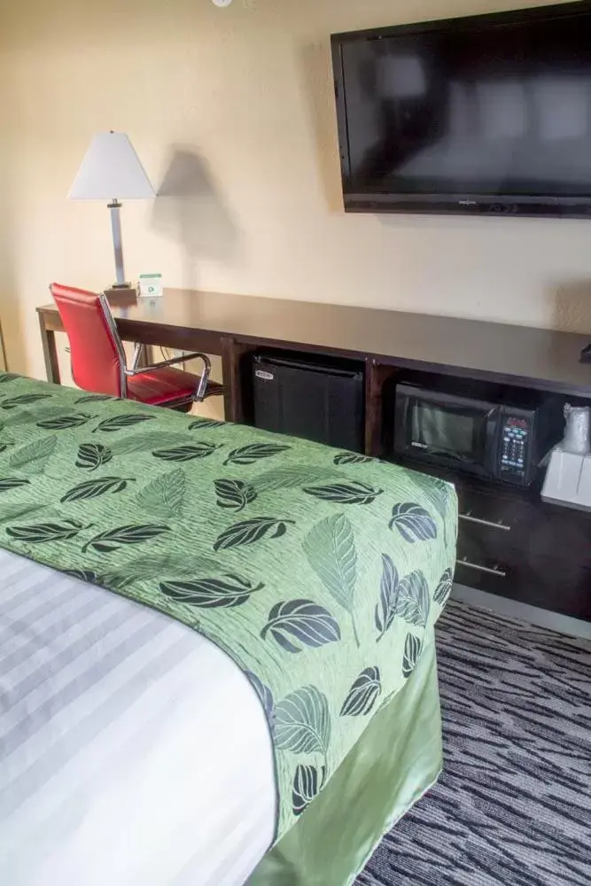 TV and multimedia, Bed in Motel Capri TV and multimedia, Bed in Motel Capri