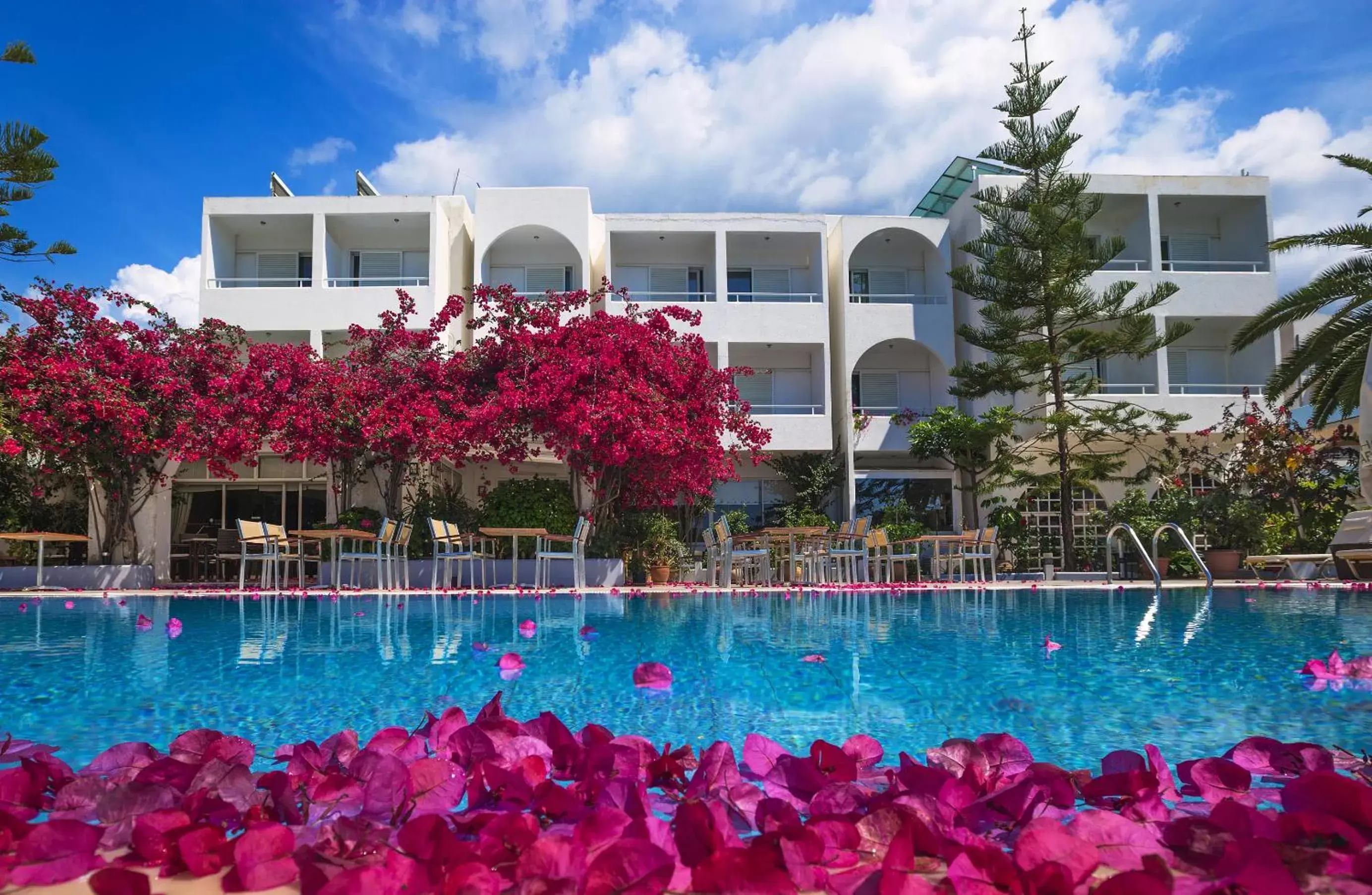 Pool view, Property Building in Kyparissia Beach Hotel