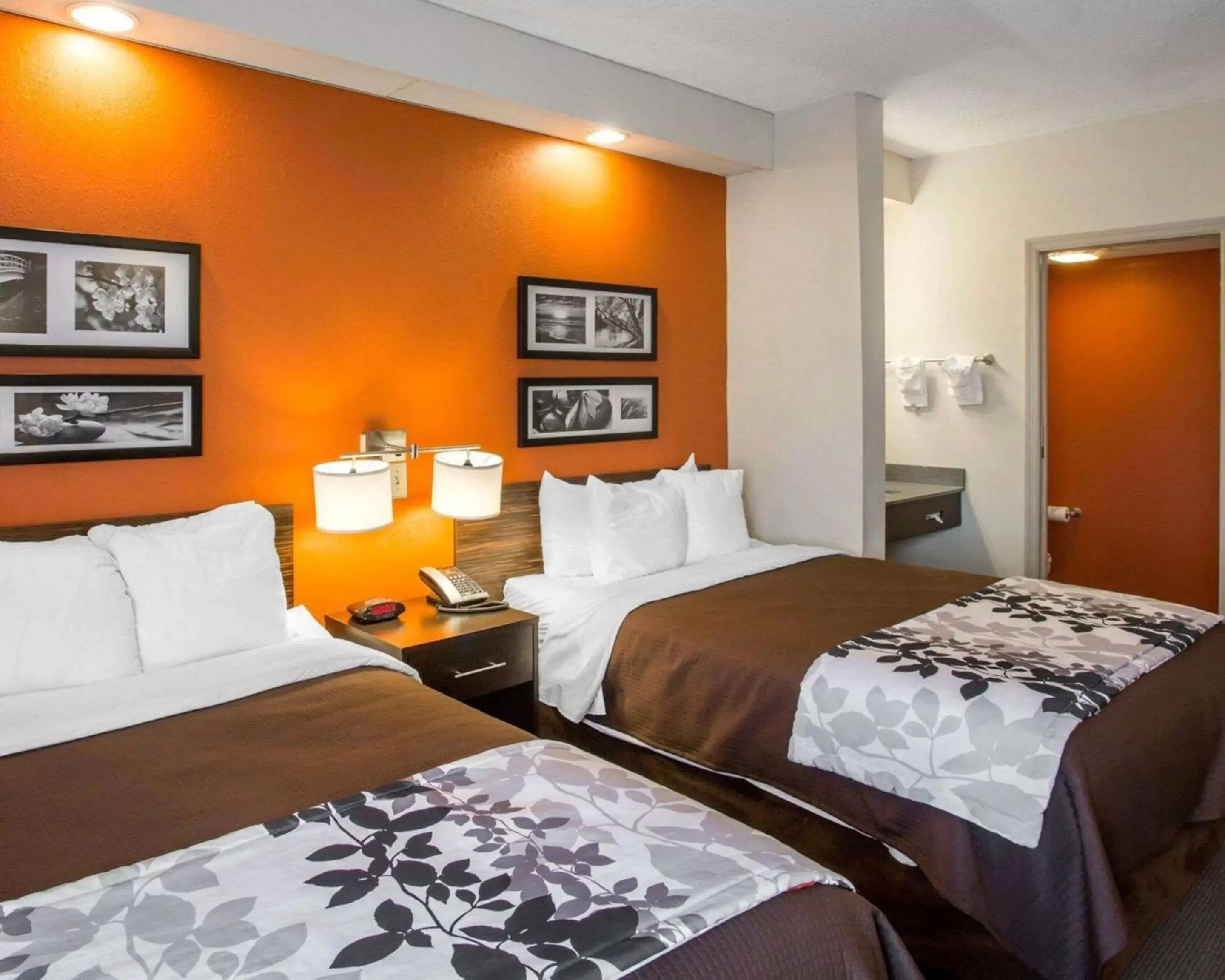 Photo of the whole room, Bed in Sleep Inn Nashville - Brentwood - Cool Springs