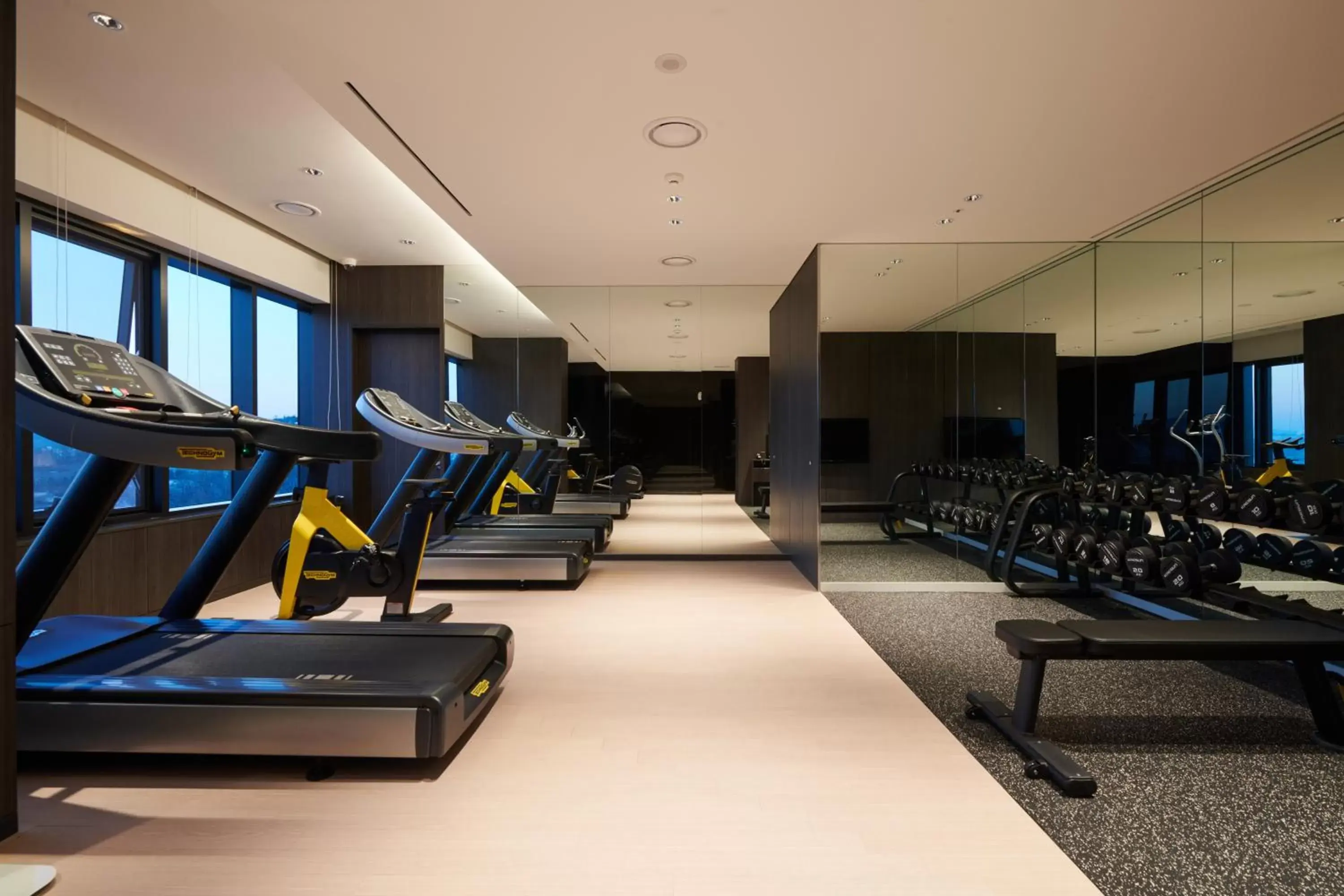 Fitness centre/facilities, Fitness Center/Facilities in Nine Tree Premier Hotel Seoul Pangyo