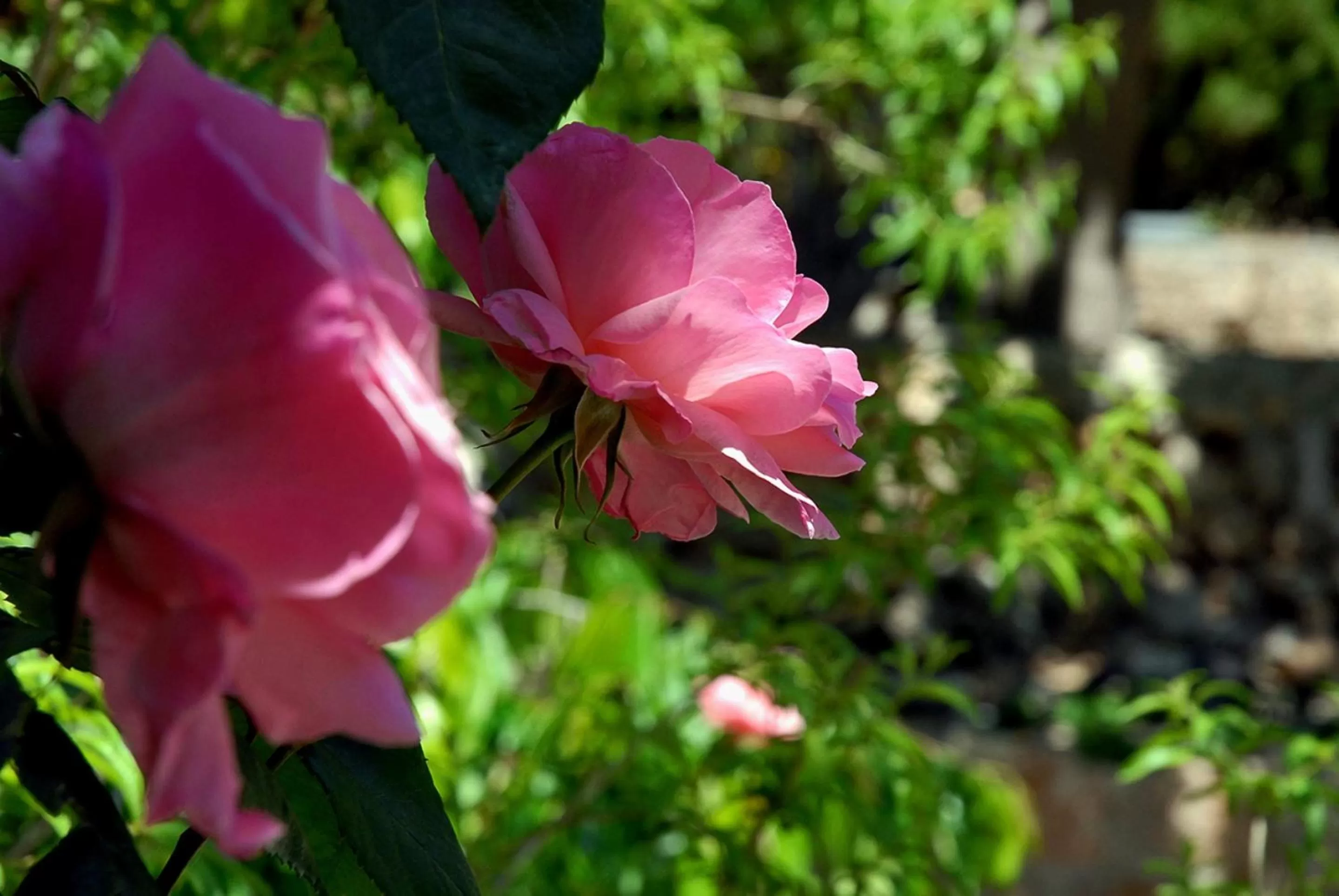 Other in Sa Vall Valldemossa