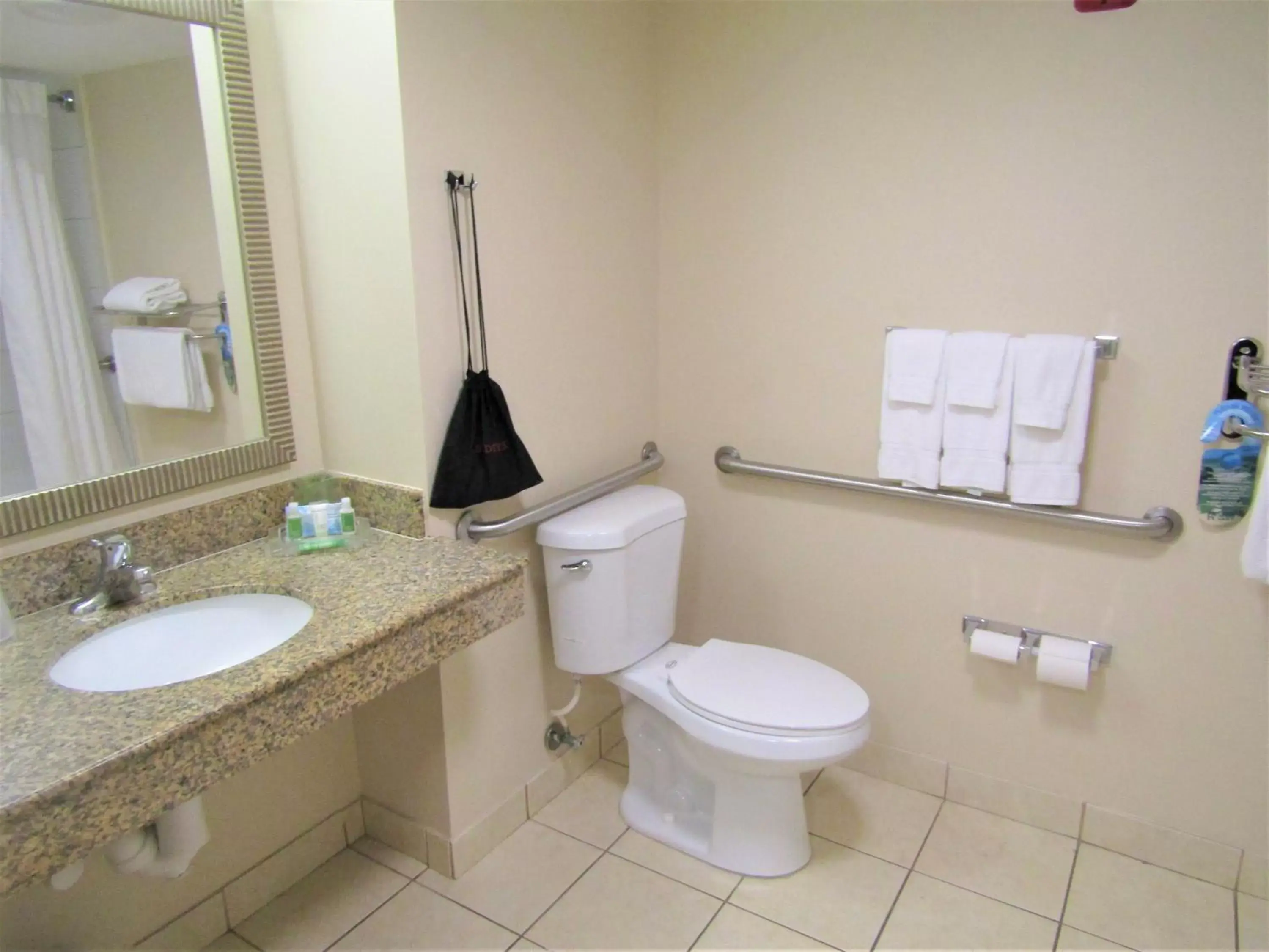 Bathroom in Holiday Inn St. Augustine - Historic, an IHG Hotel