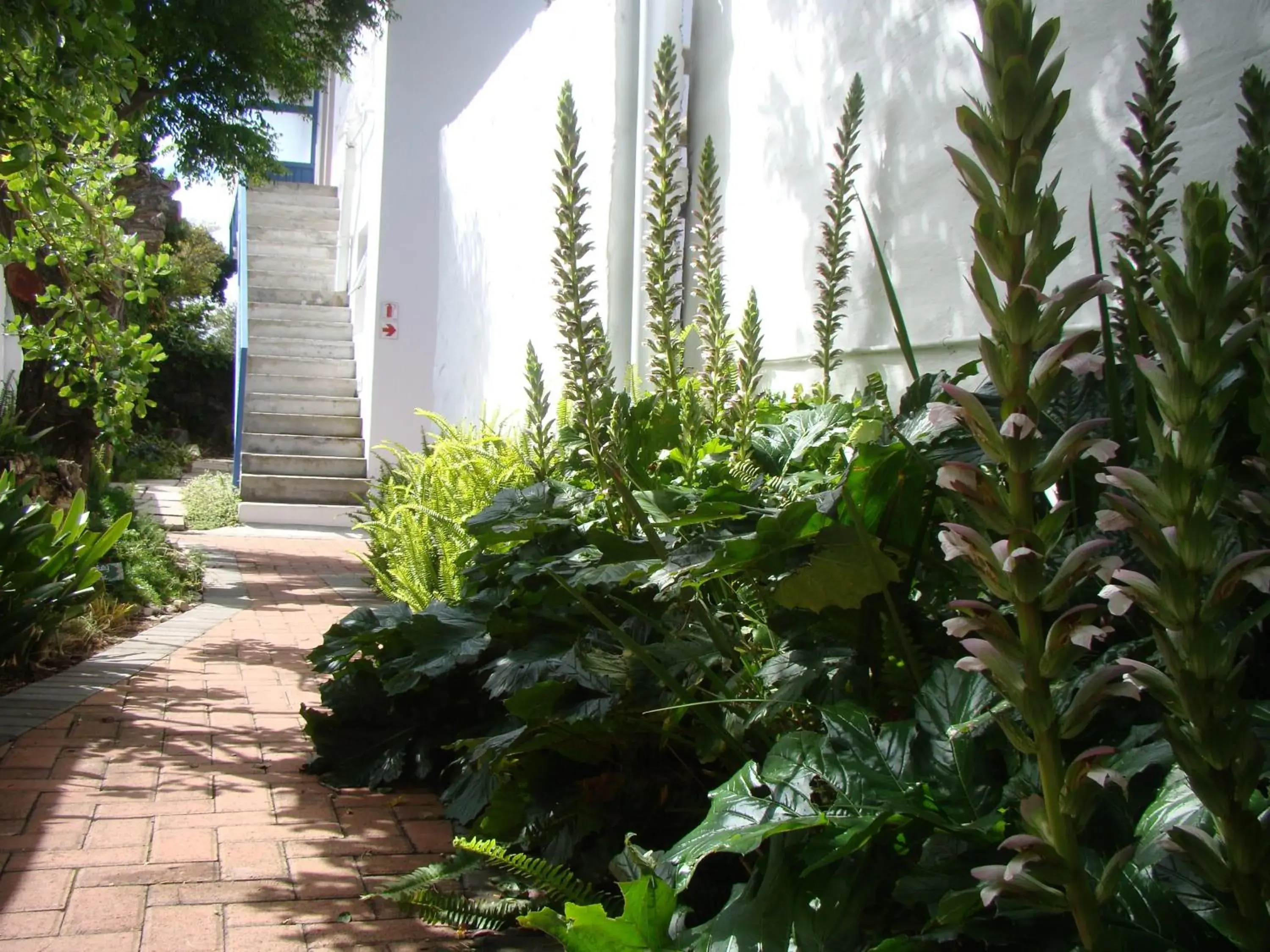 Facade/entrance in Aqua Marine Guest House