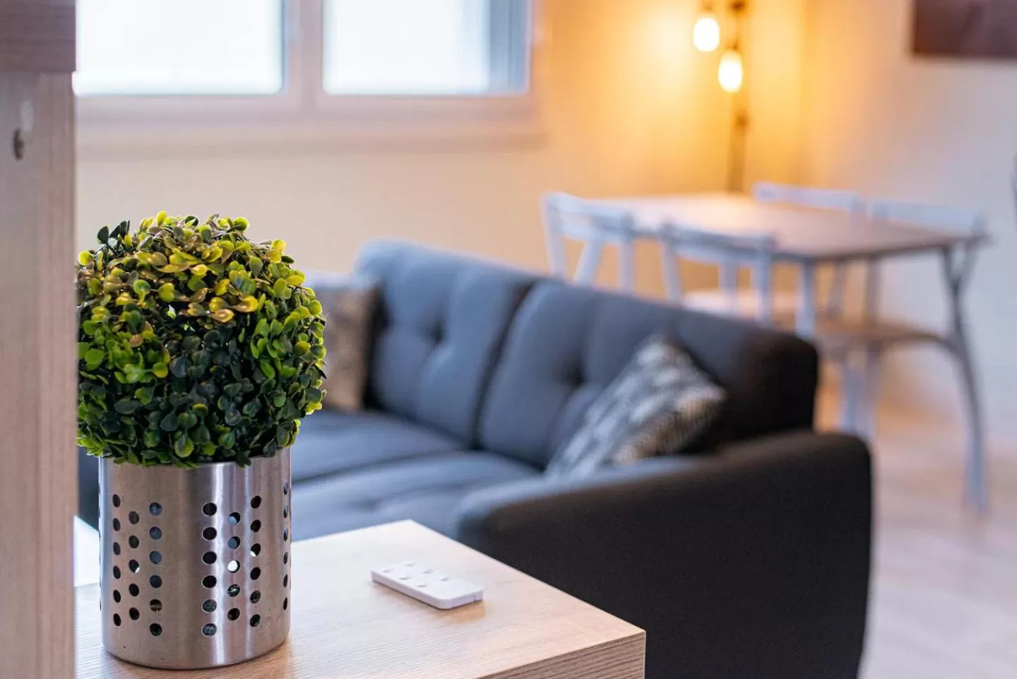 Living room in T2 LUMINEUX PROCHE CHU ET FAC LETTRES BEAUX ARTS Dutreix 2