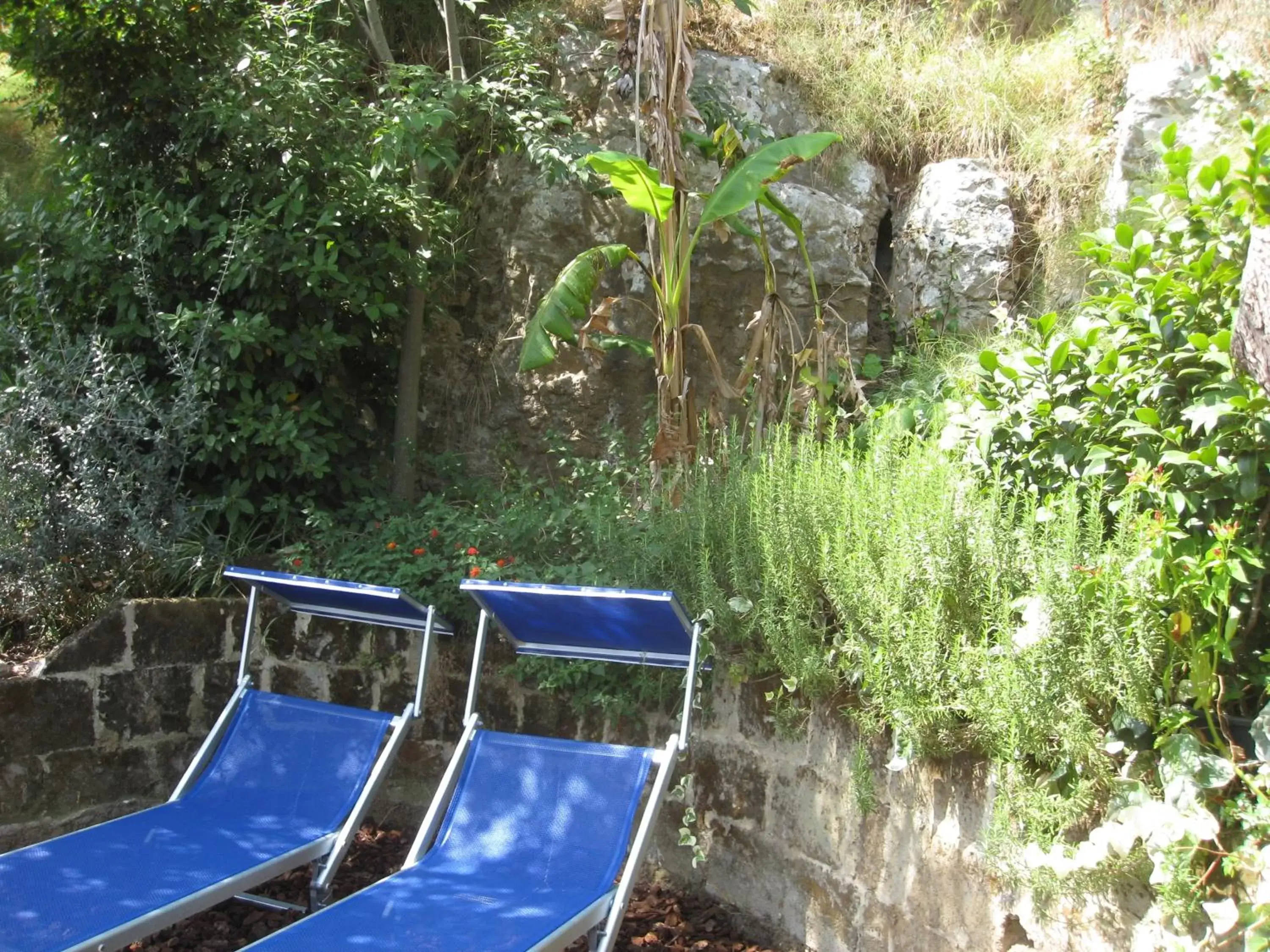 Garden, Pool View in Hotel Cristina