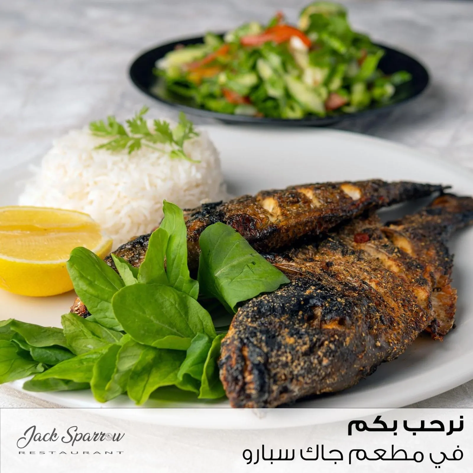 Restaurant/places to eat in Majestic Hotel