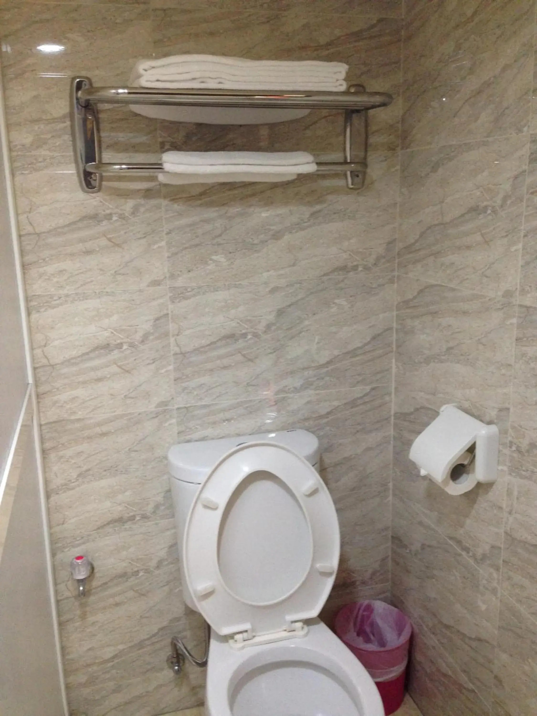 Toilet, Bathroom in Big Bear Hotel