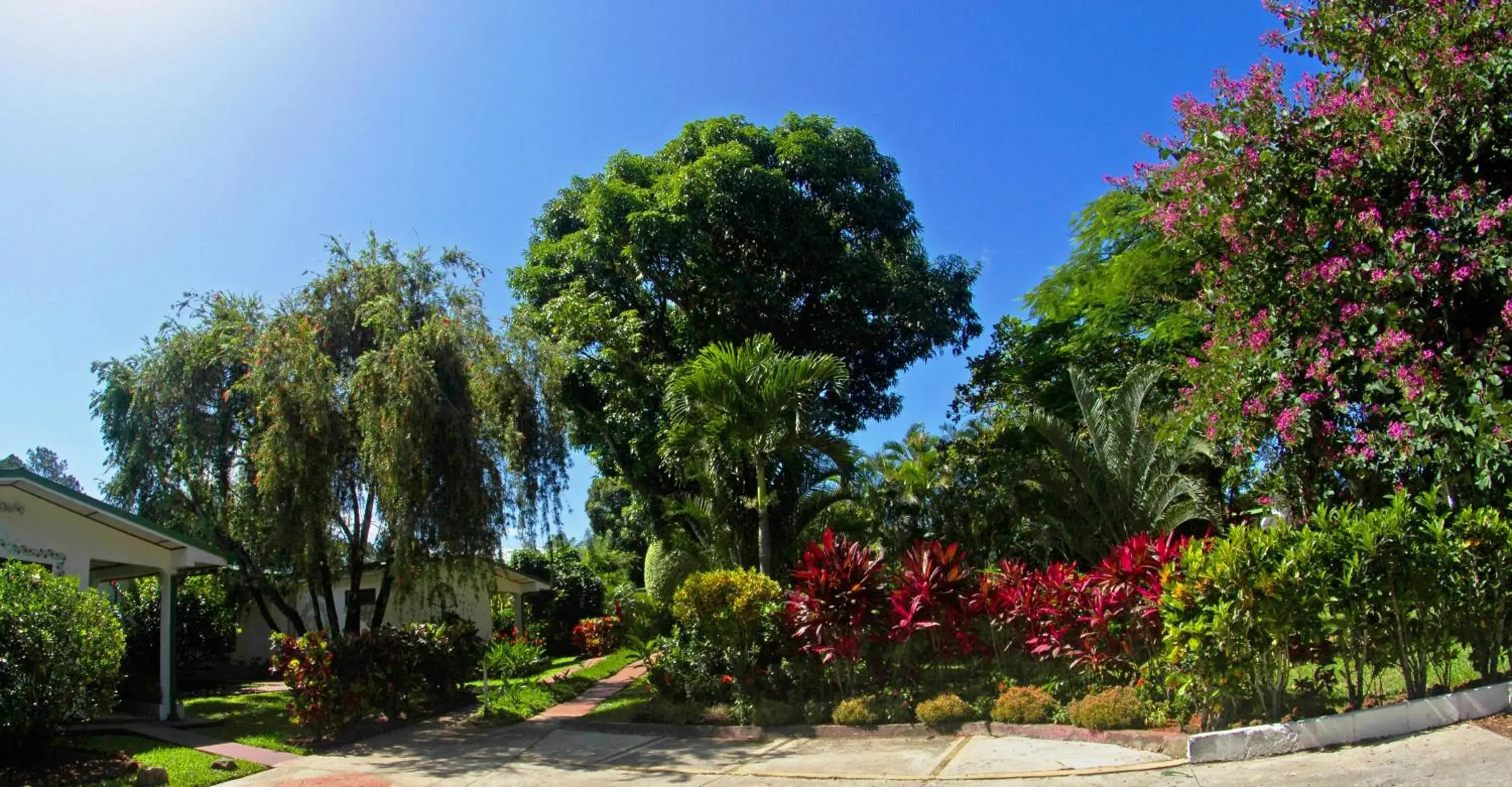 Facade/entrance, Garden in Hotel La Rosa de America