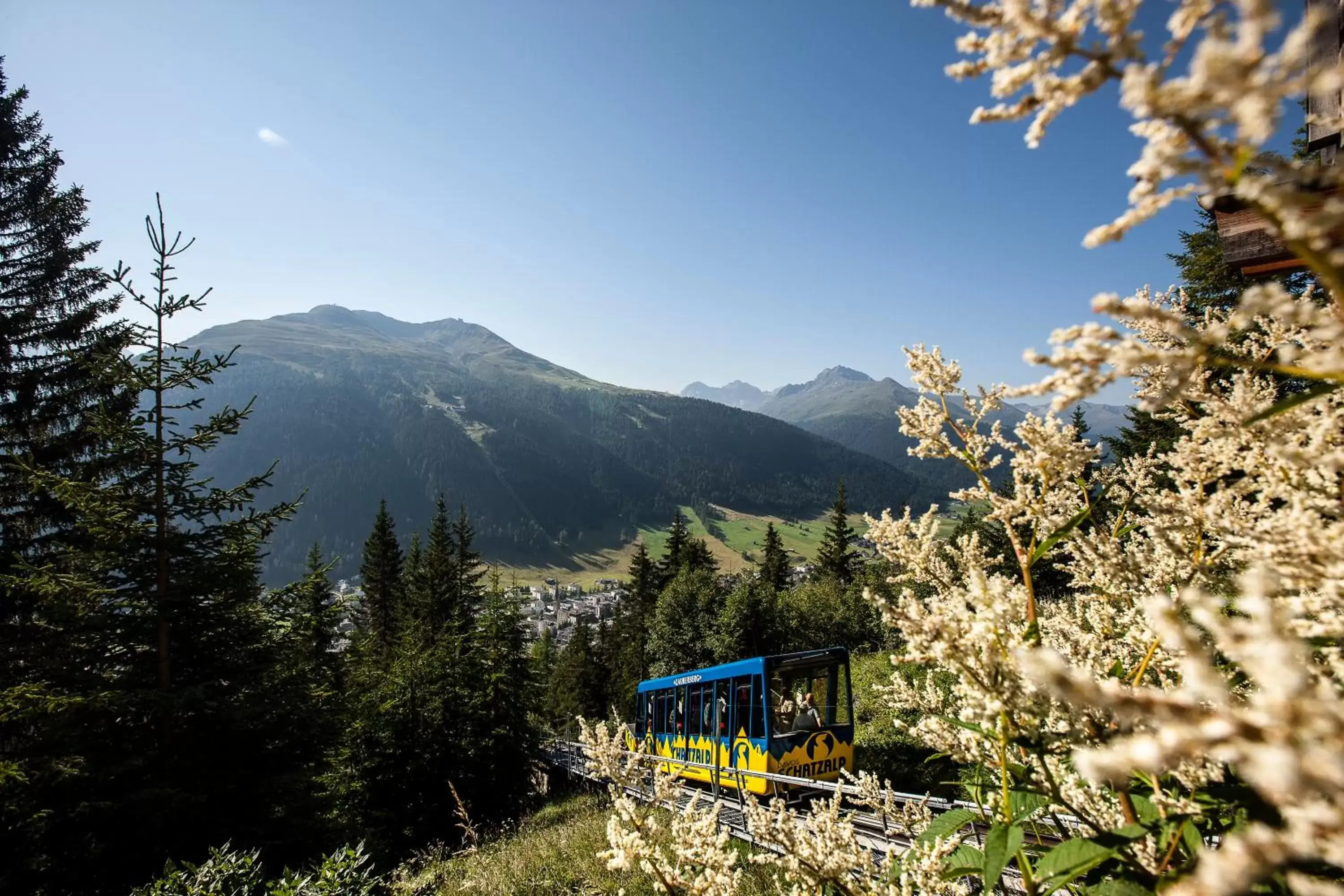 Nearby landmark, Mountain View in Schatzalp Hotel