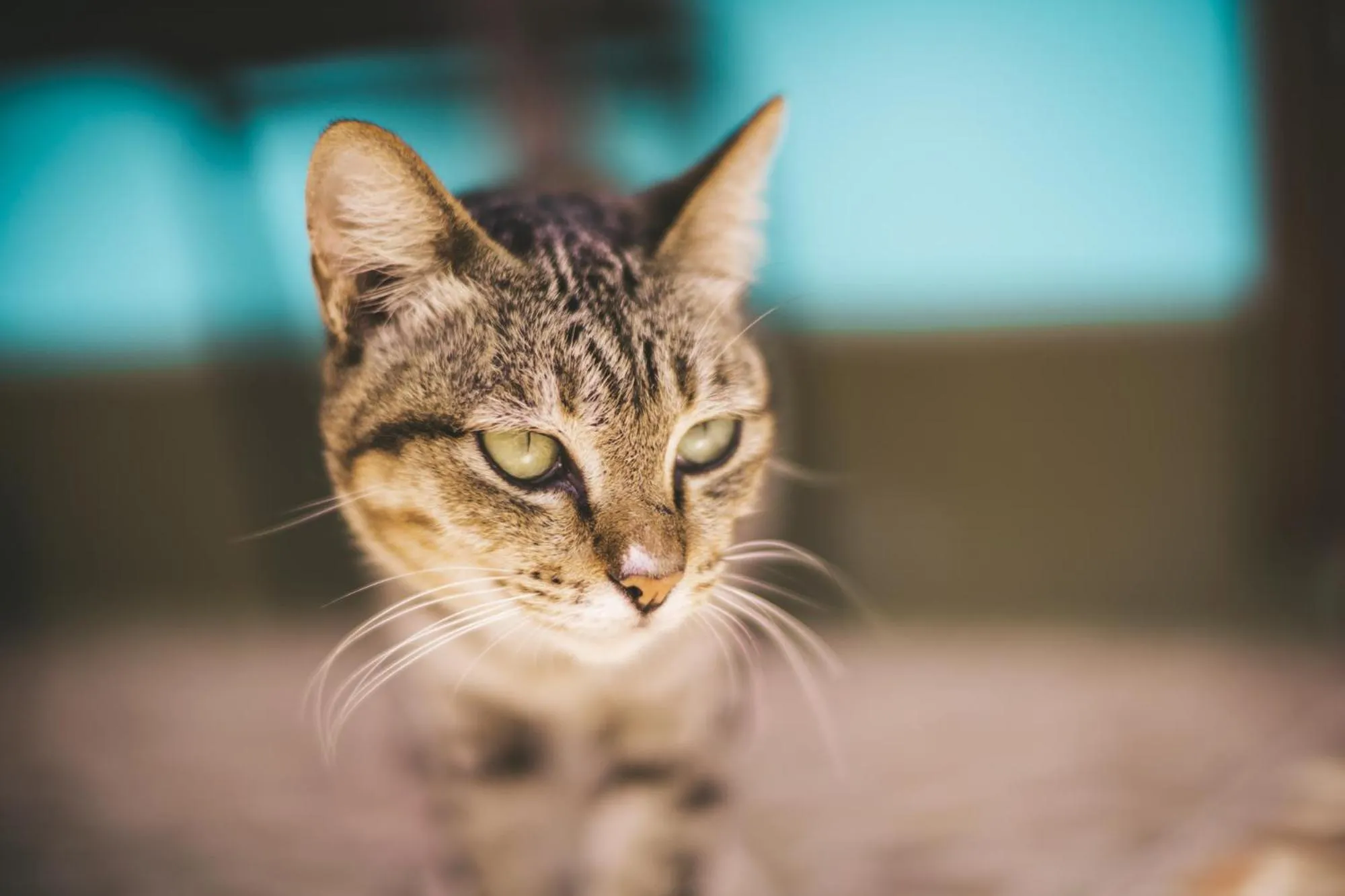 Other in Lanta L.D. Beach Bungalow