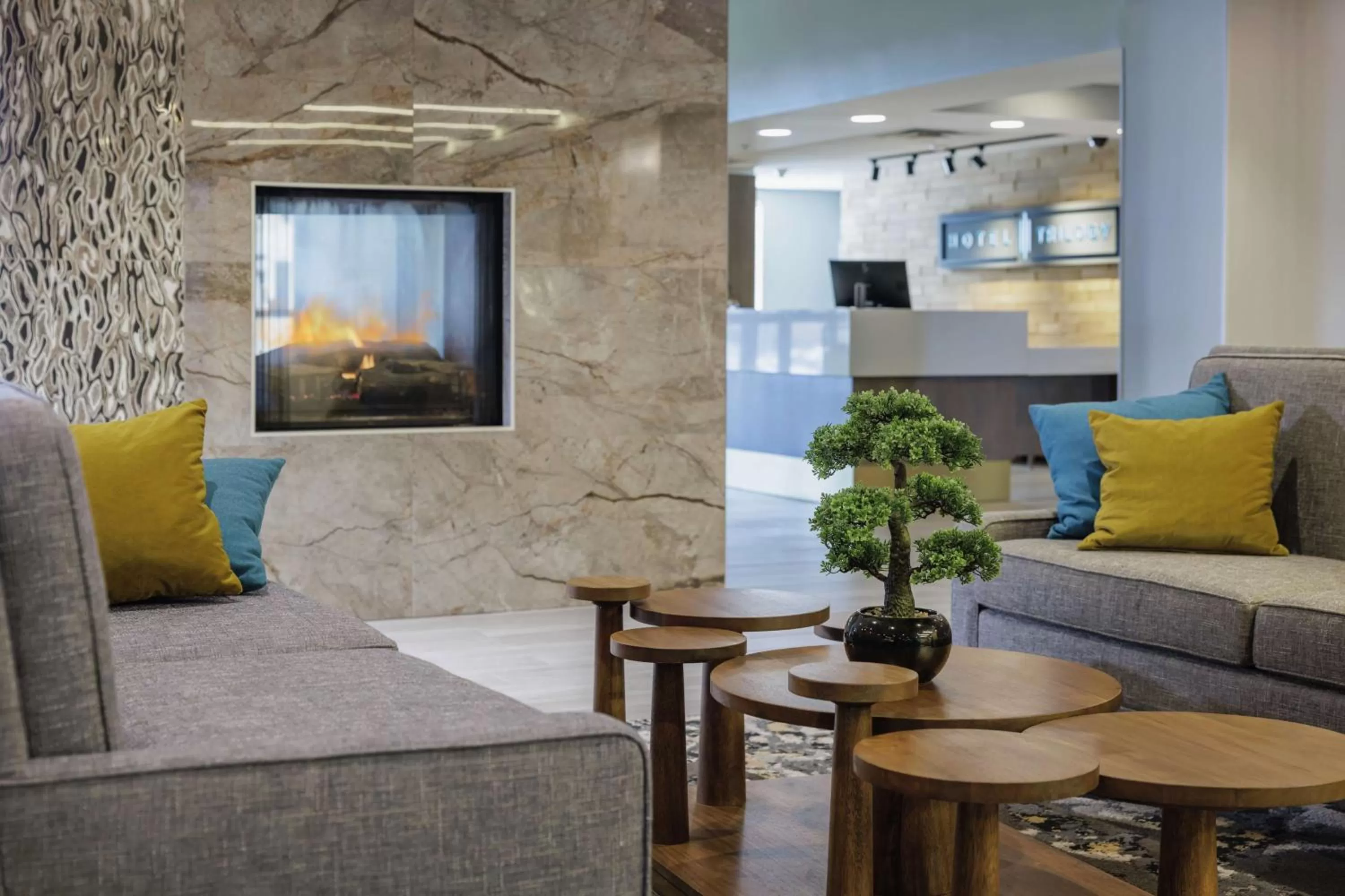 Lobby or reception in Hotel Trilogy Albany Airport, Tapestry Collection by Hilton