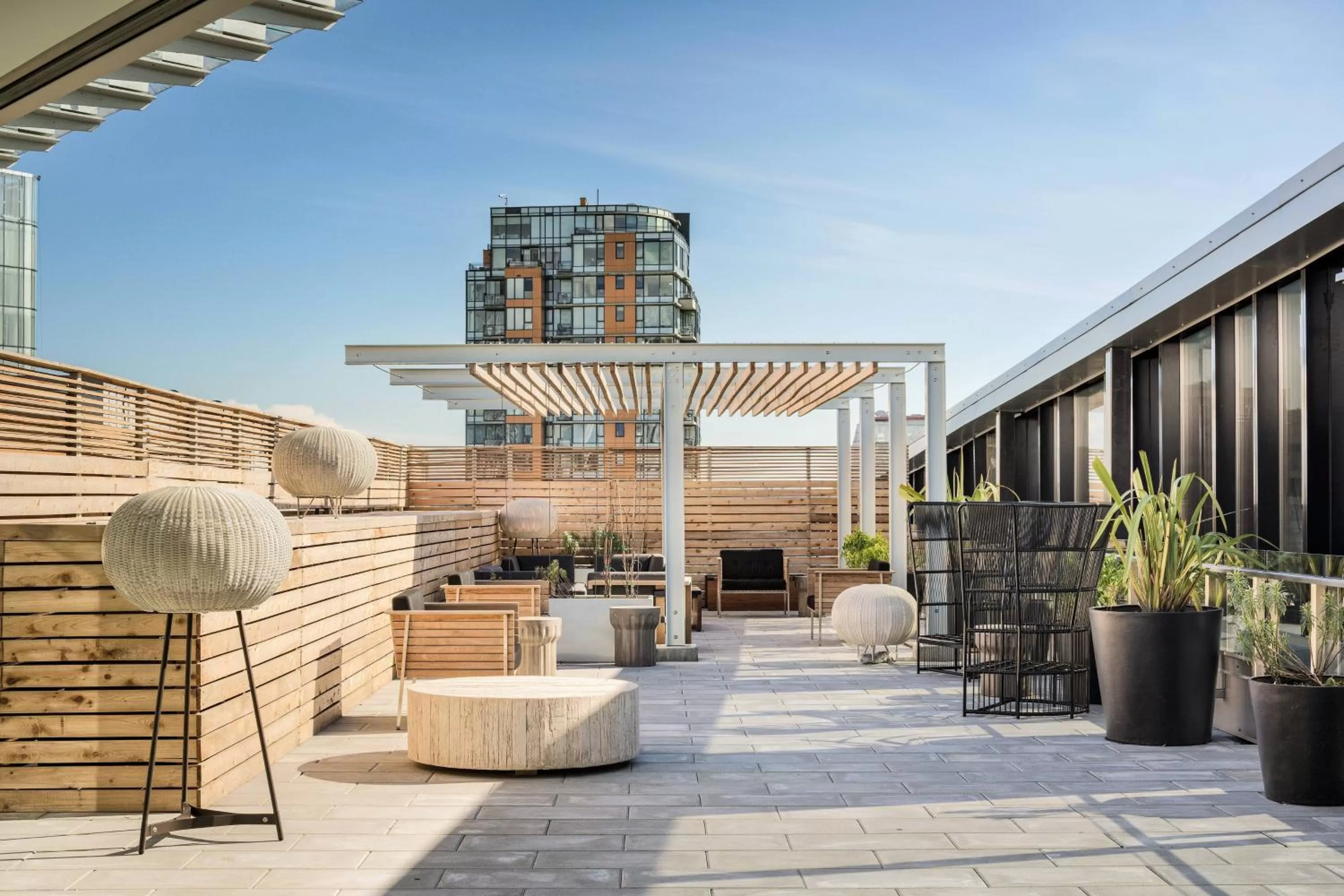 Photo of the whole room in the DOUGLAS, Autograph Collection