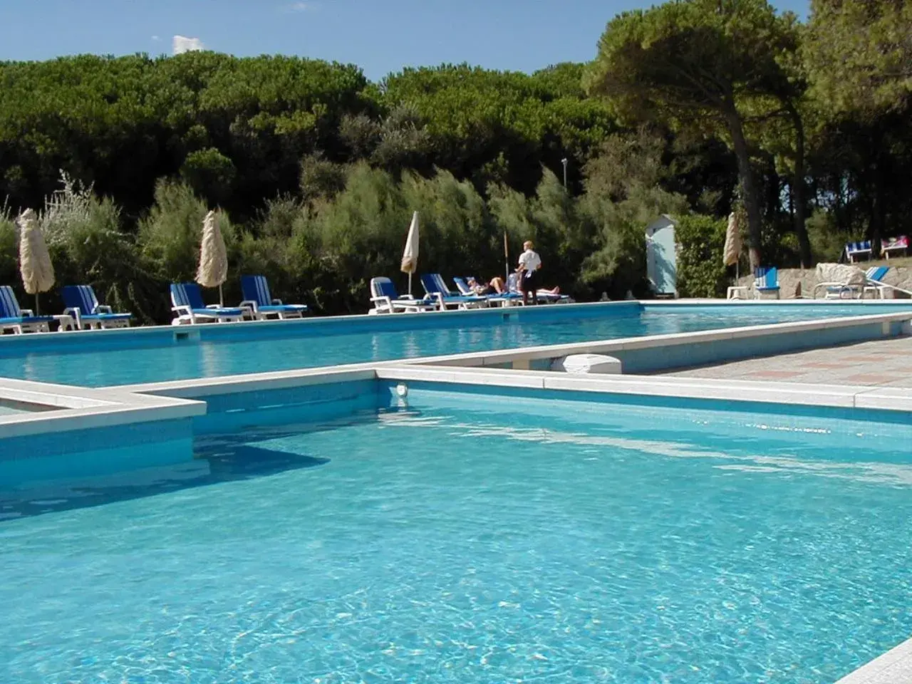 Natural landscape, Swimming Pool in Hotel Beau Rivage Pineta