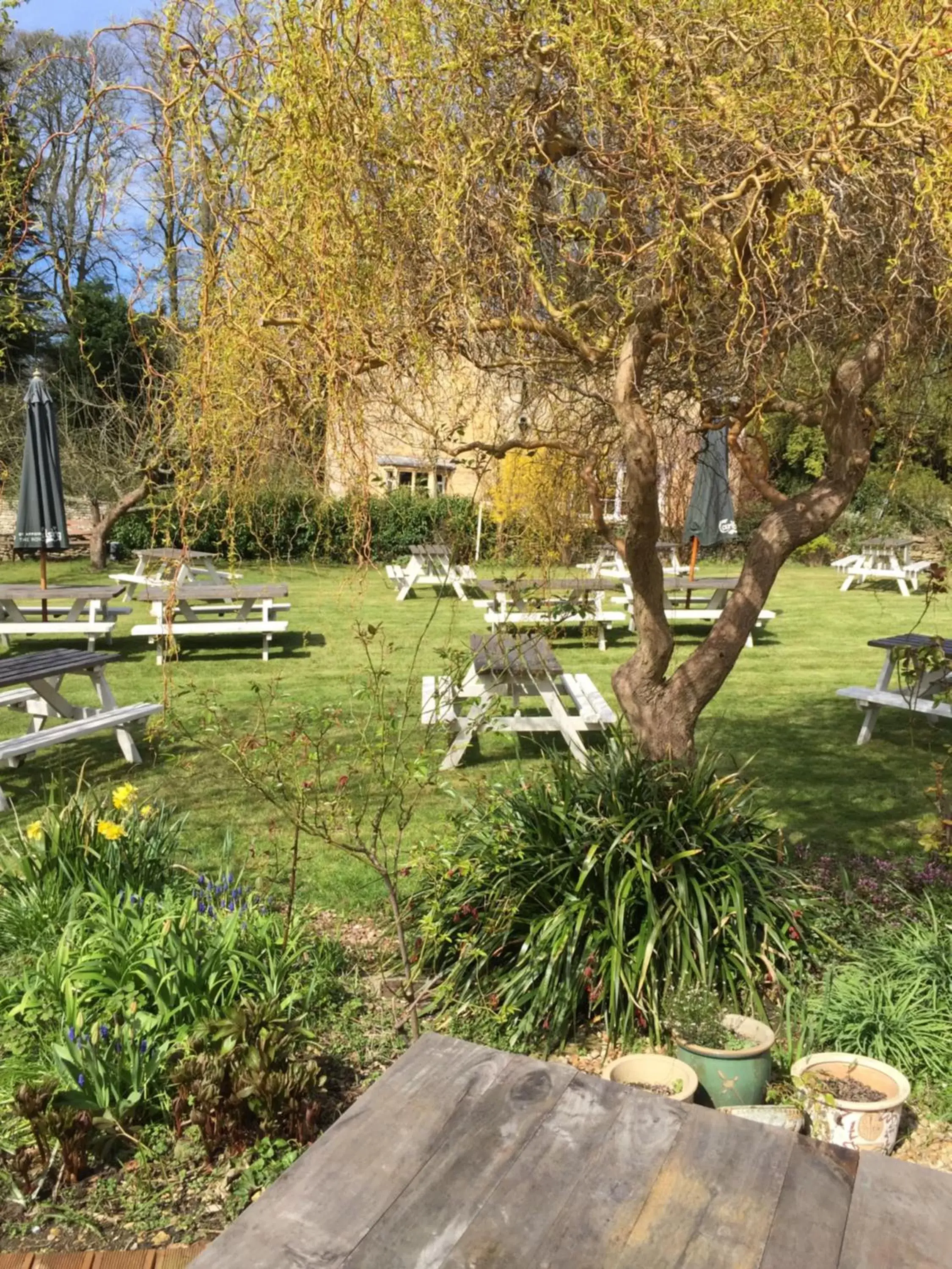 Property building, Patio/Outdoor Area in The Fox and Hounds