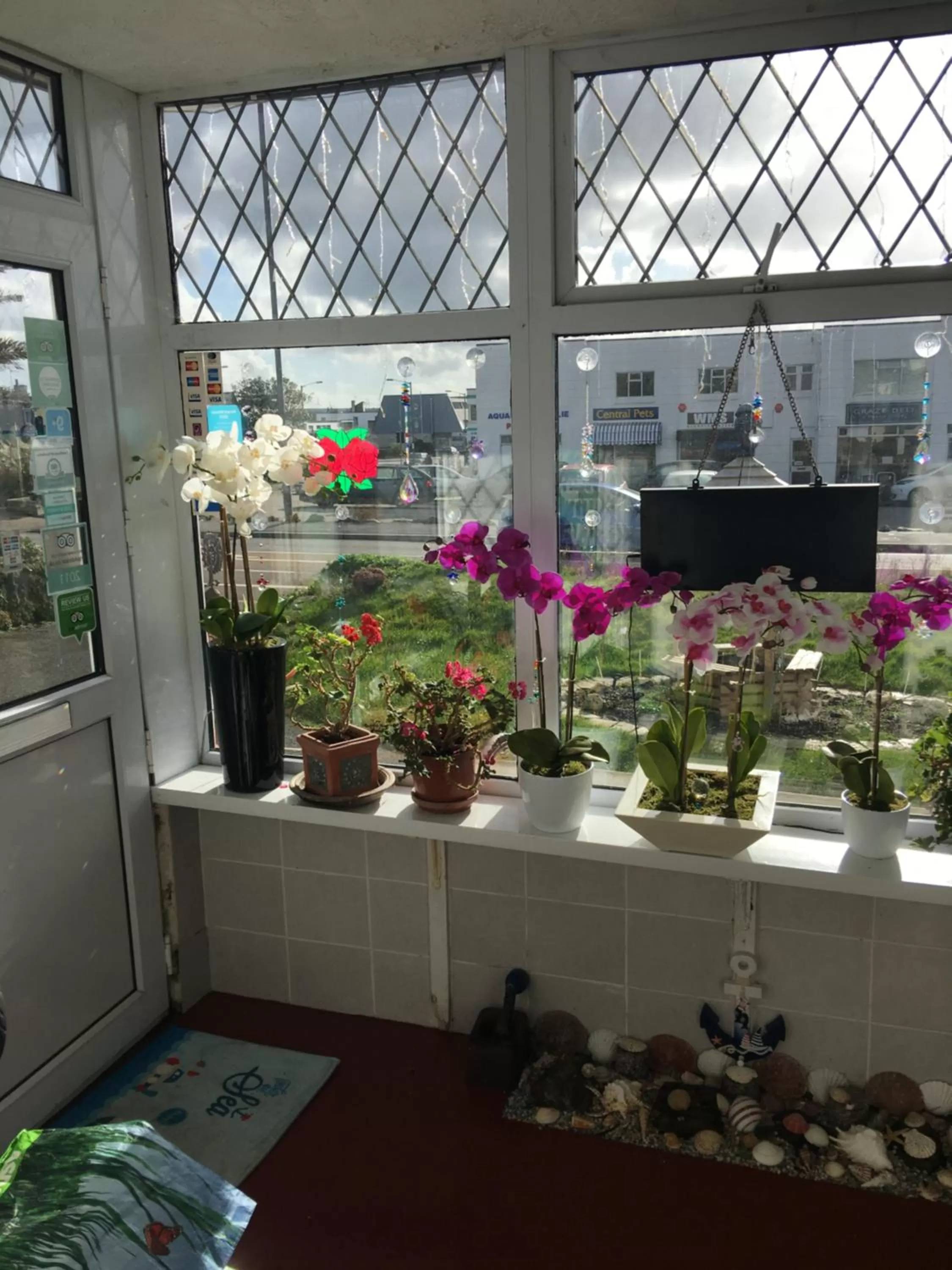 Garden view in Jasmine House