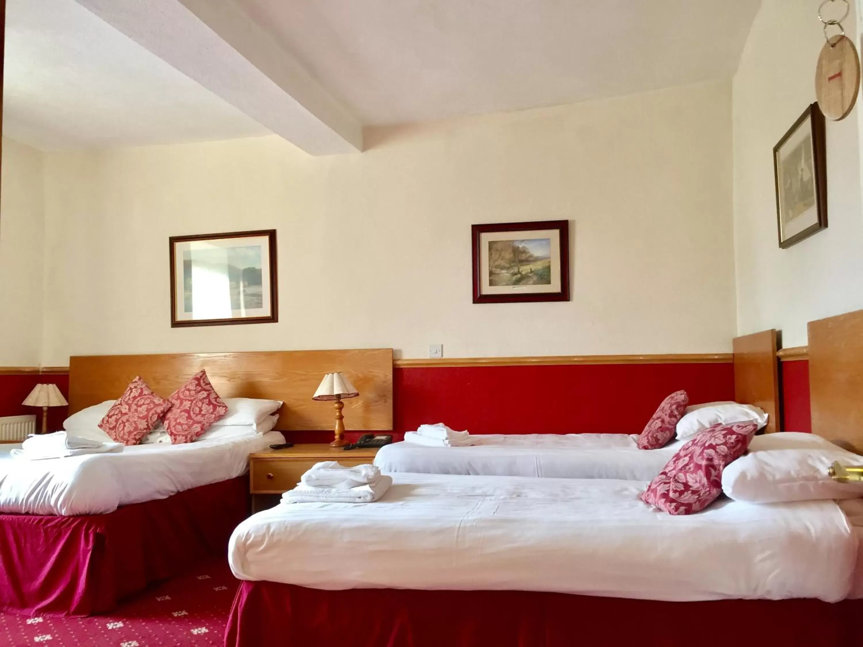 Bed in Plas Coch Hotel Ltd
