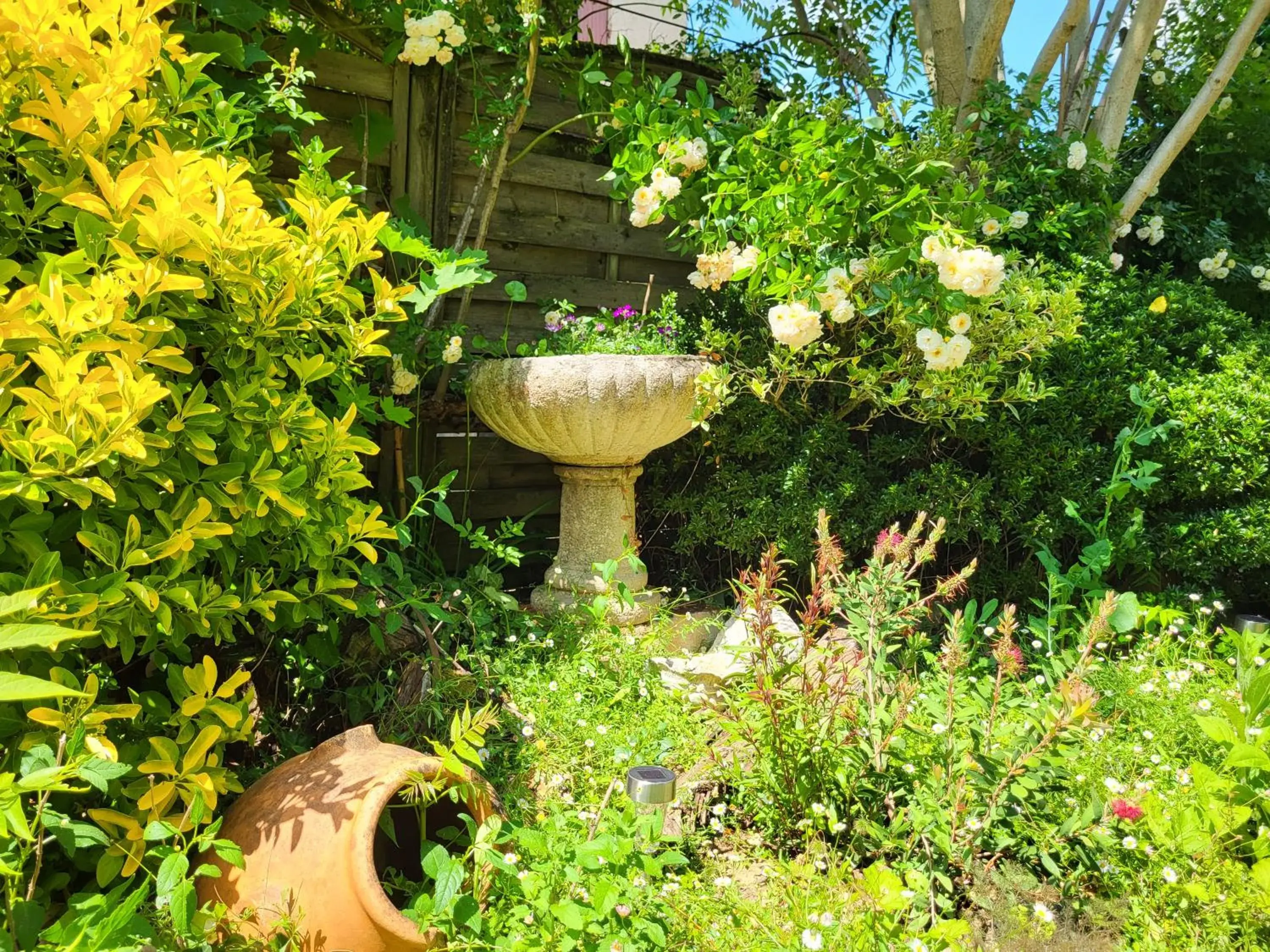 Garden in Hôtel La Flambée