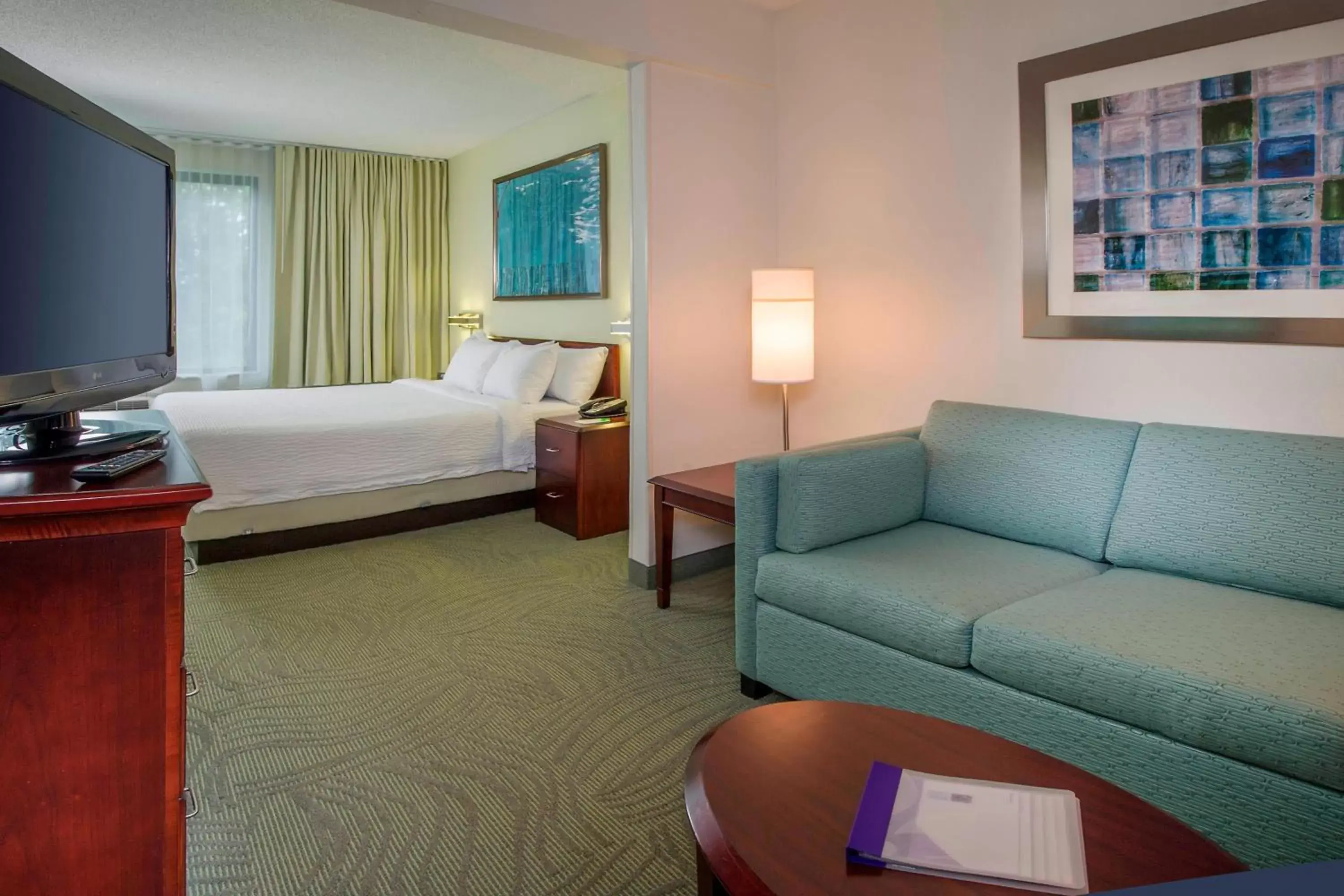 Photo of the whole room in SpringHill Suites Raleigh-Durham Airport/Research Triangle Park