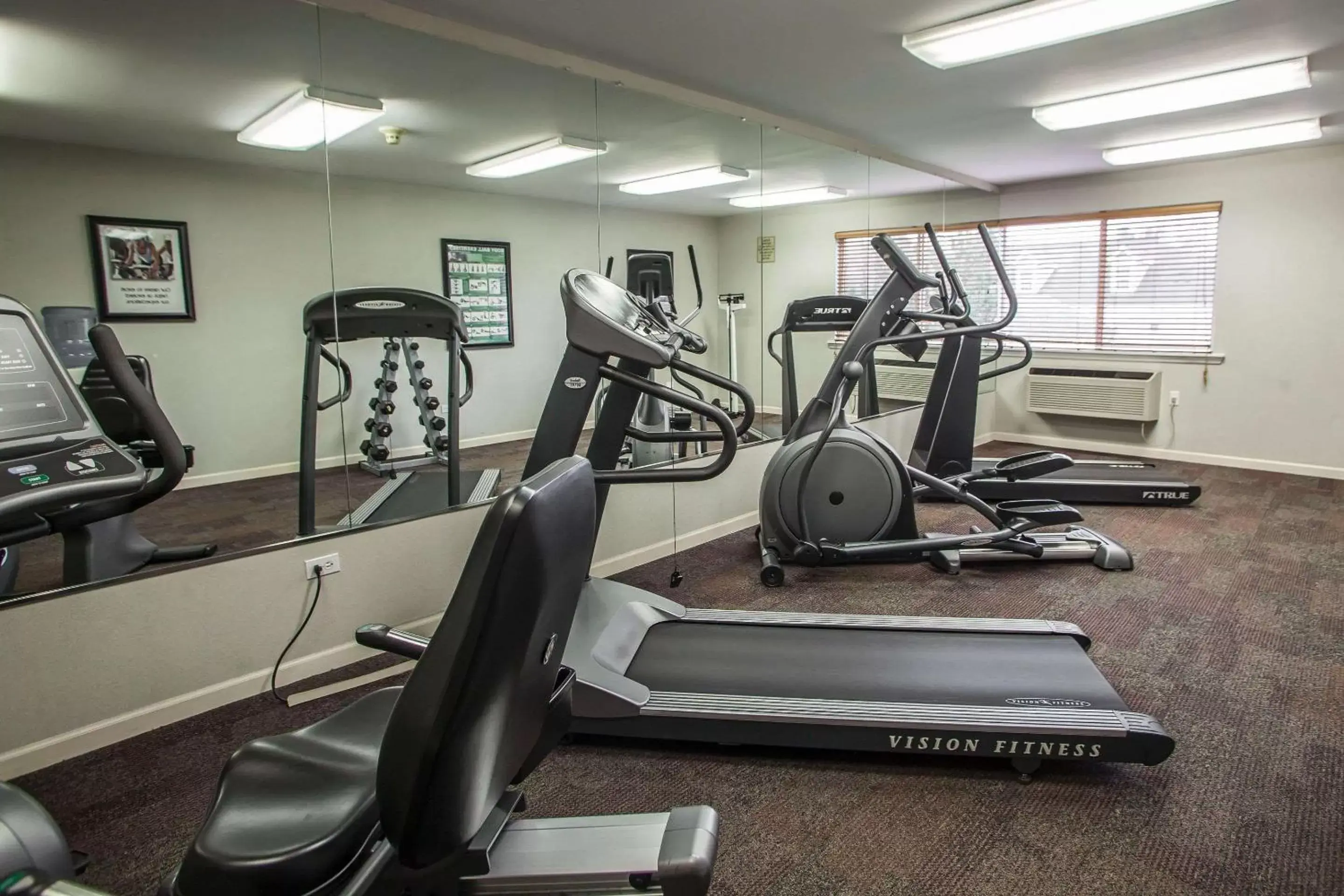 Fitness centre/facilities, Fitness Center/Facilities in Quality Inn and Suites St Charles -West Chicago