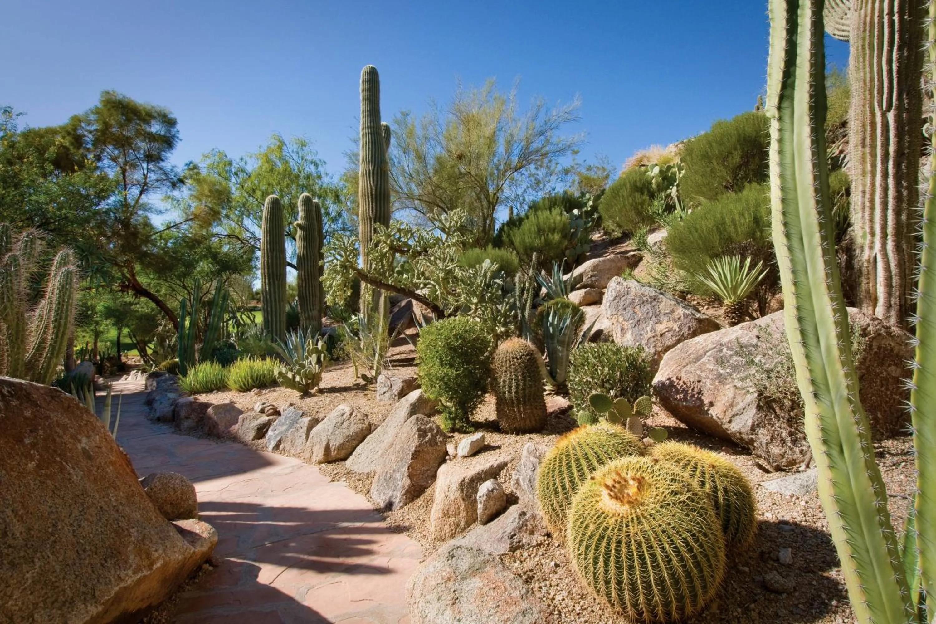 View (from property/room) in The Canyon Suites at The Phoenician, a Luxury Collection Resort, Scottsdale
