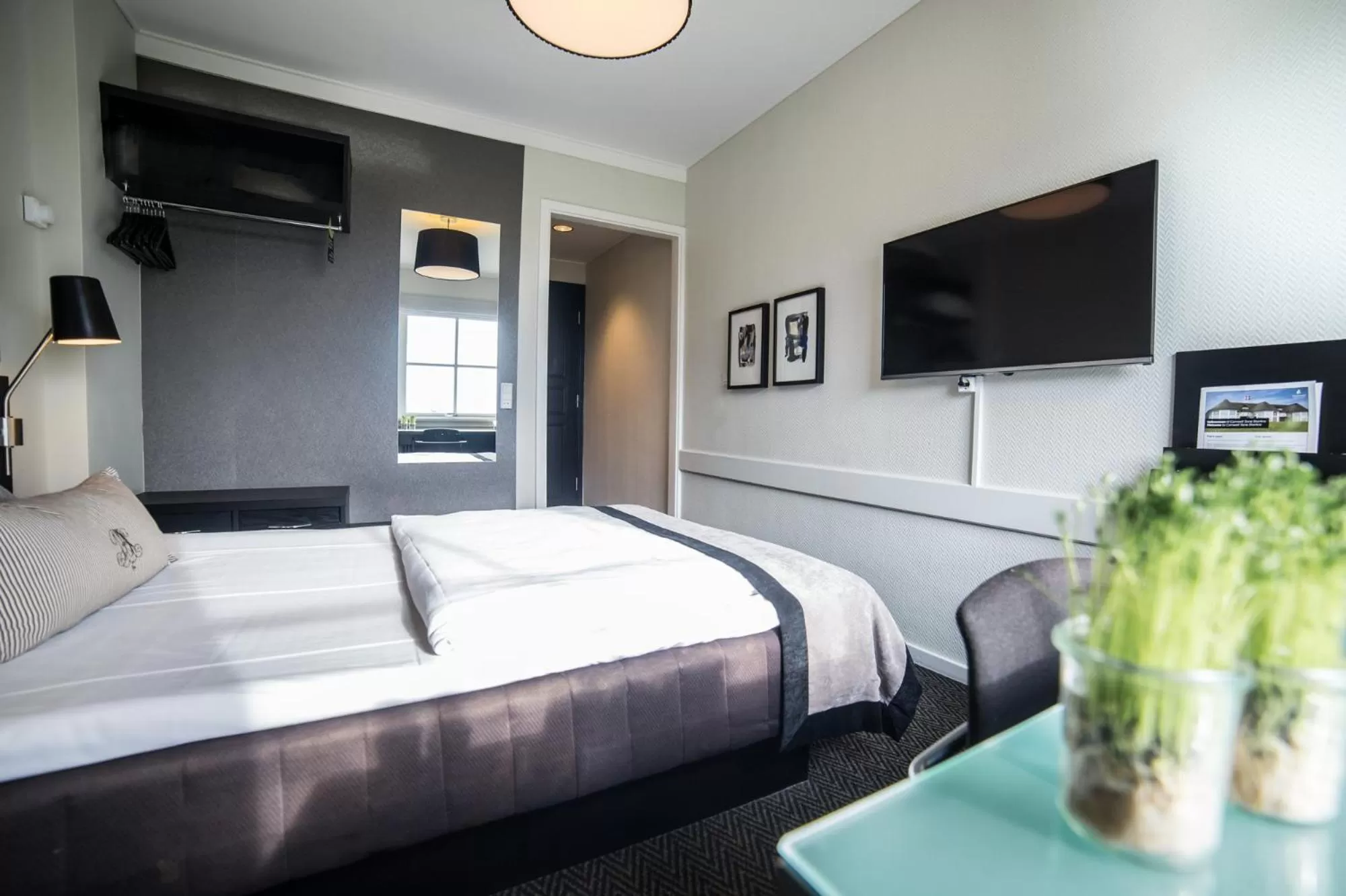 Single Room in Comwell Sorø