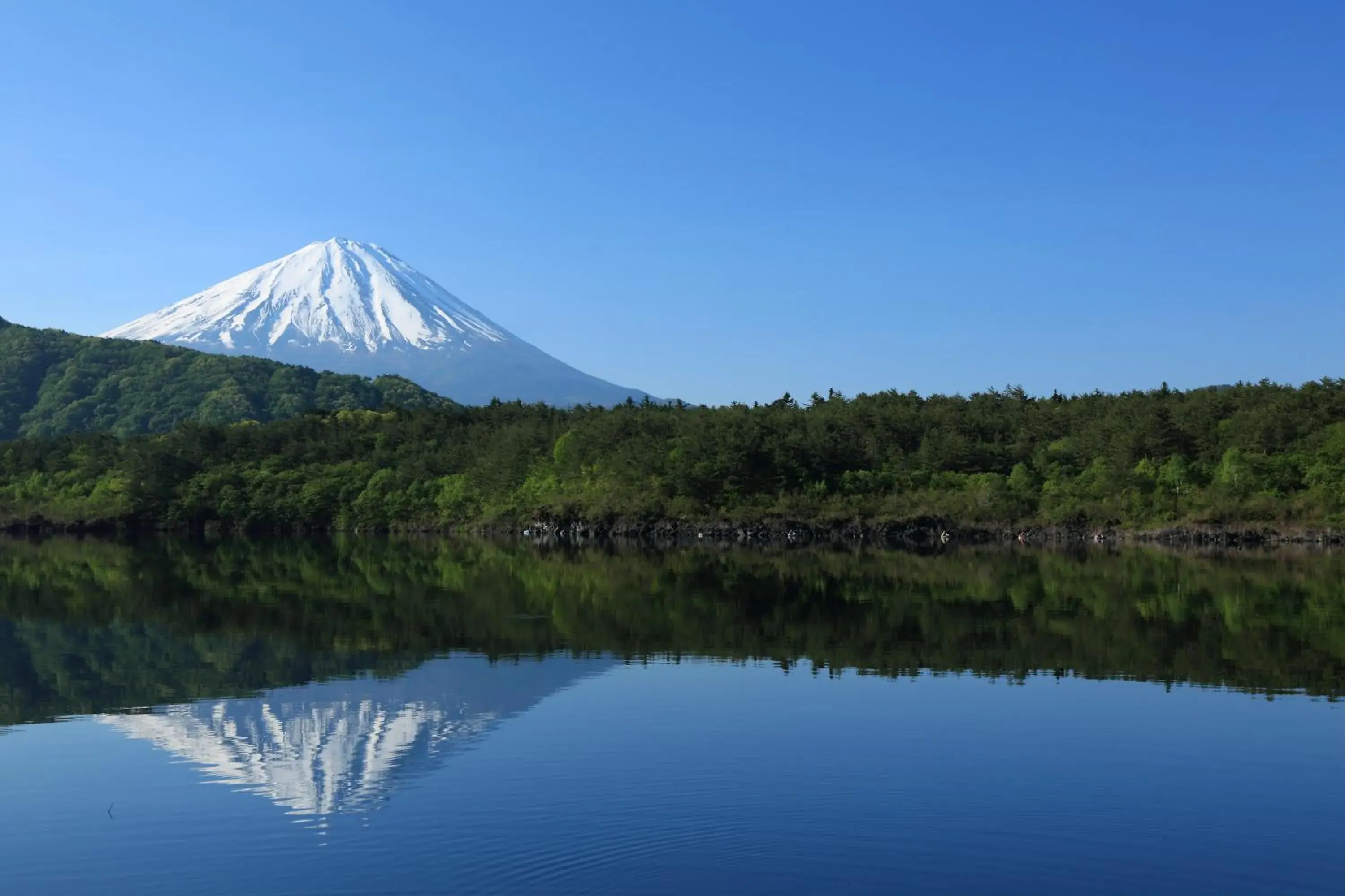 Natural landscape in HOTEL MYSTAYS Fuji Onsen Resort