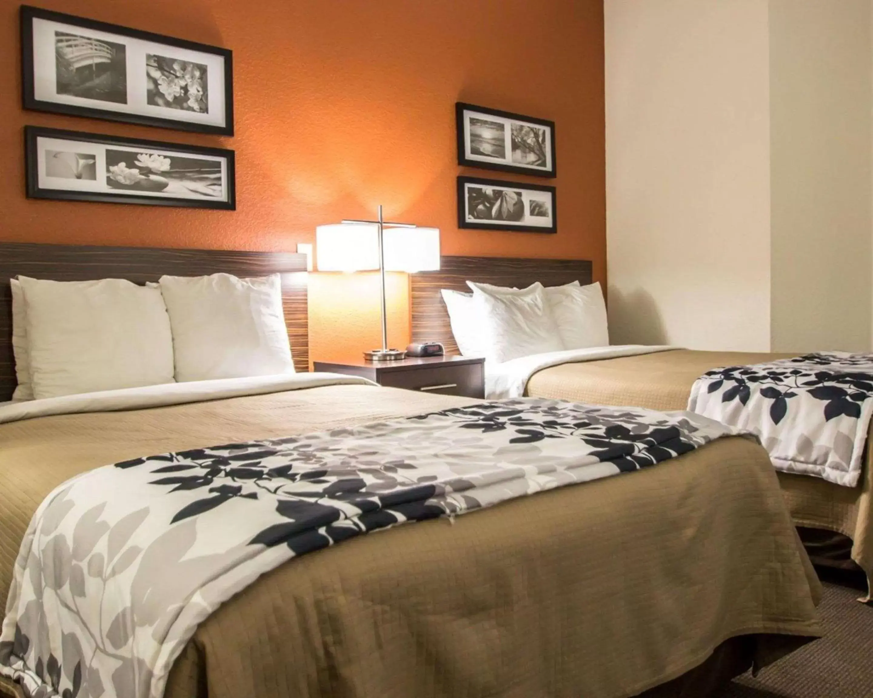 Photo of the whole room, Bed in Sleep Inn Ormond Beach - Daytona Photo of the whole room, Bed in Sleep Inn Ormond Beach - Daytona