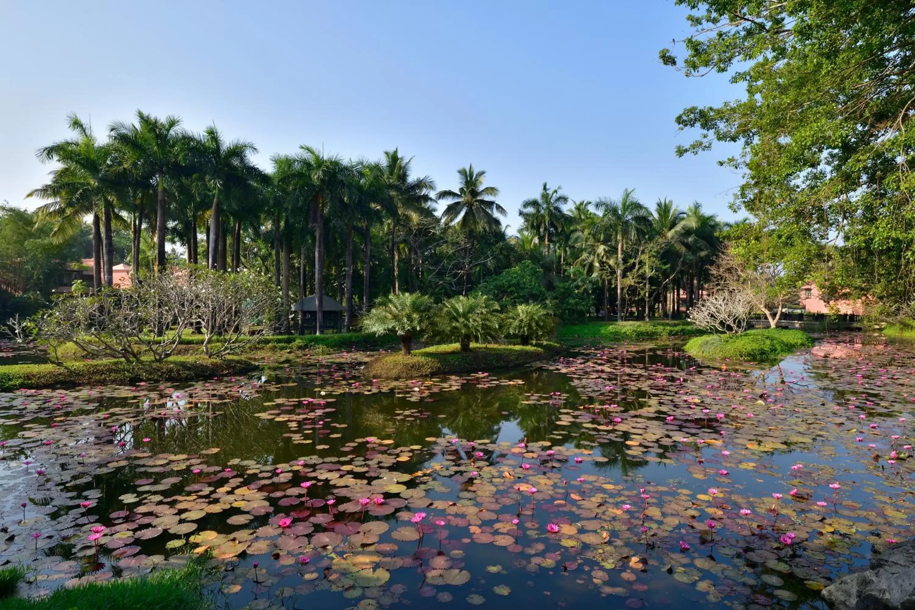 View (from property/room), Garden in The St Regis Goa Resort