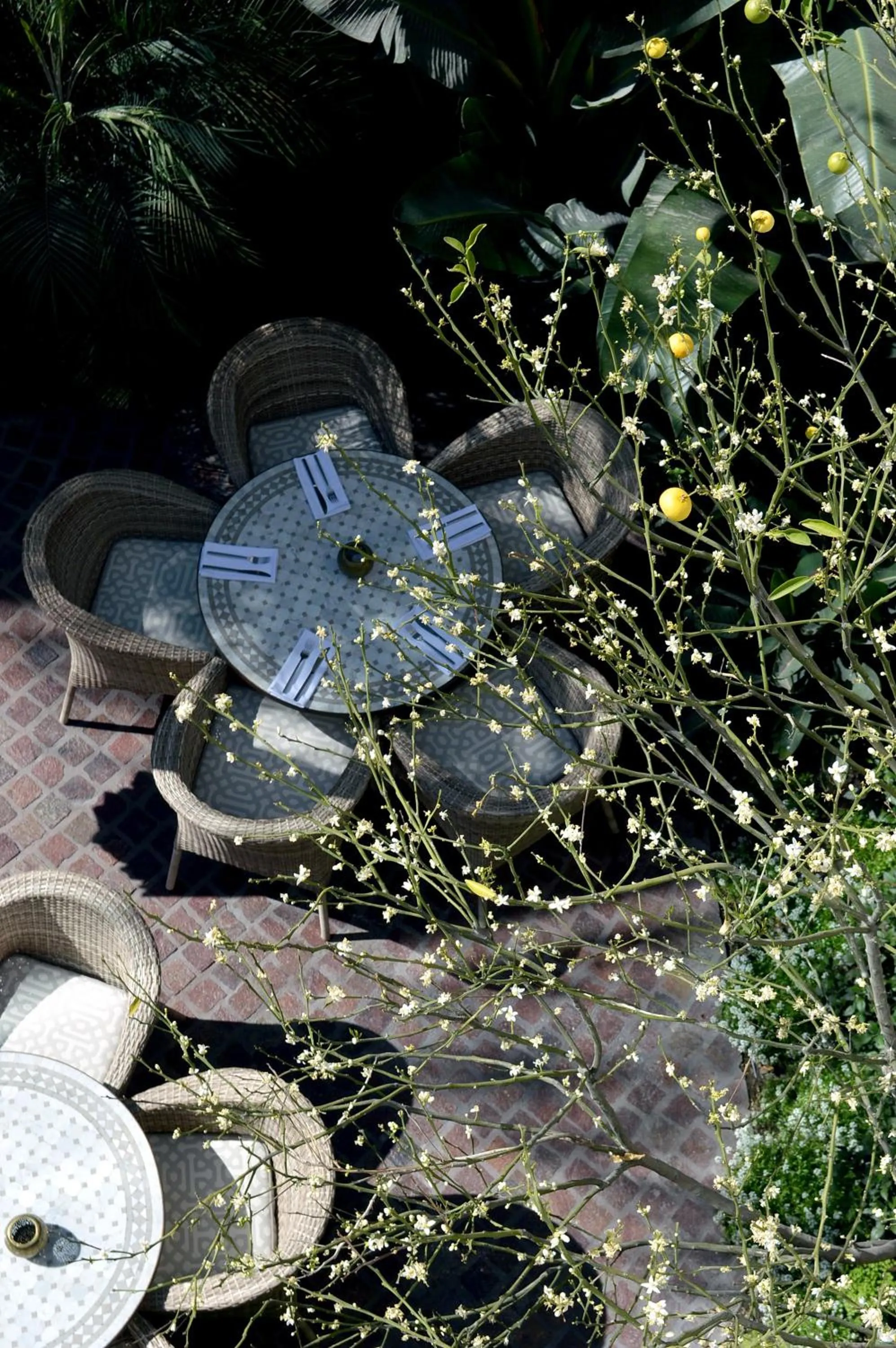 Patio in Hotel Casa Blanca 7