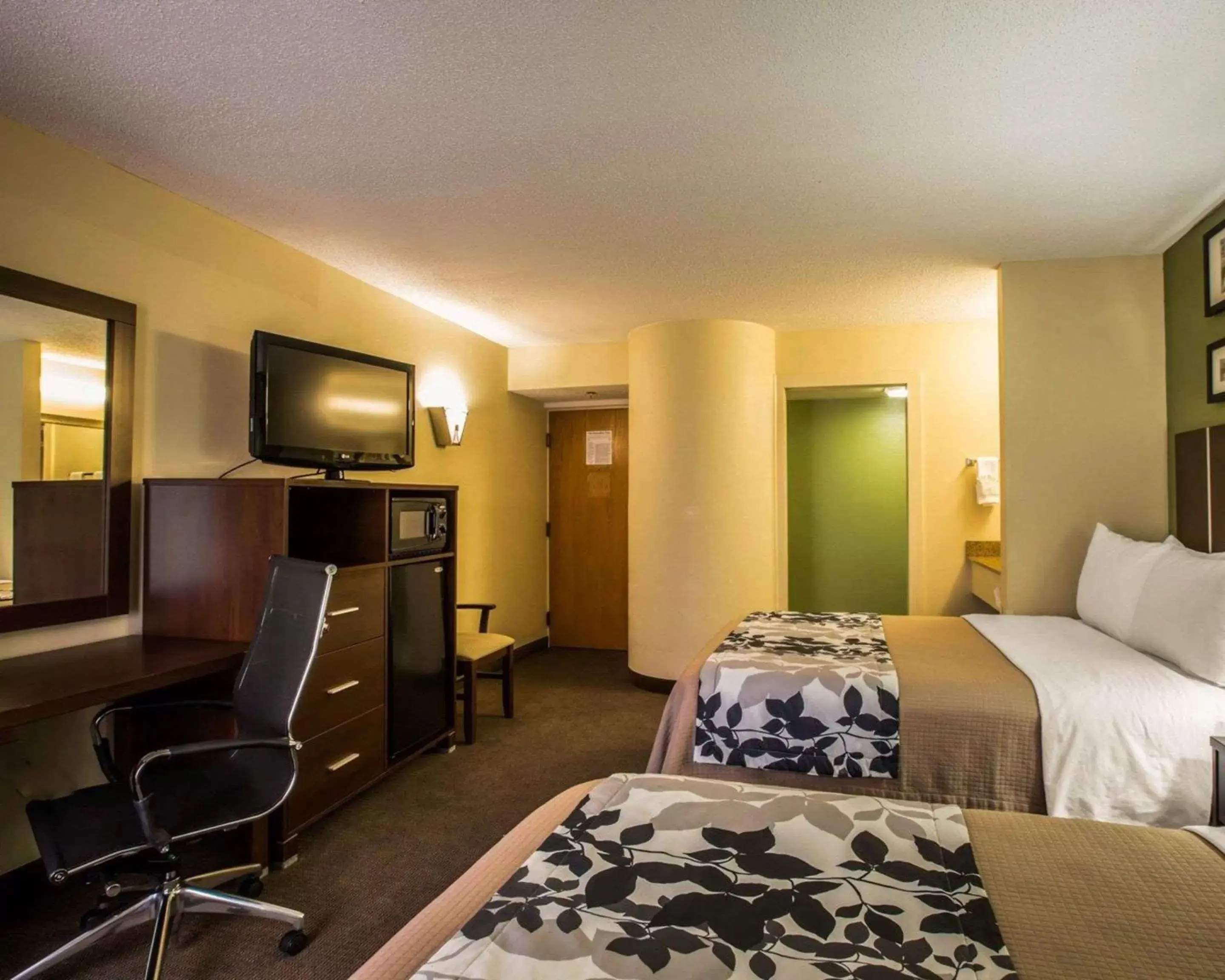 Photo of the whole room, TV/Entertainment Center in Sleep Inn Asheville-Biltmore West