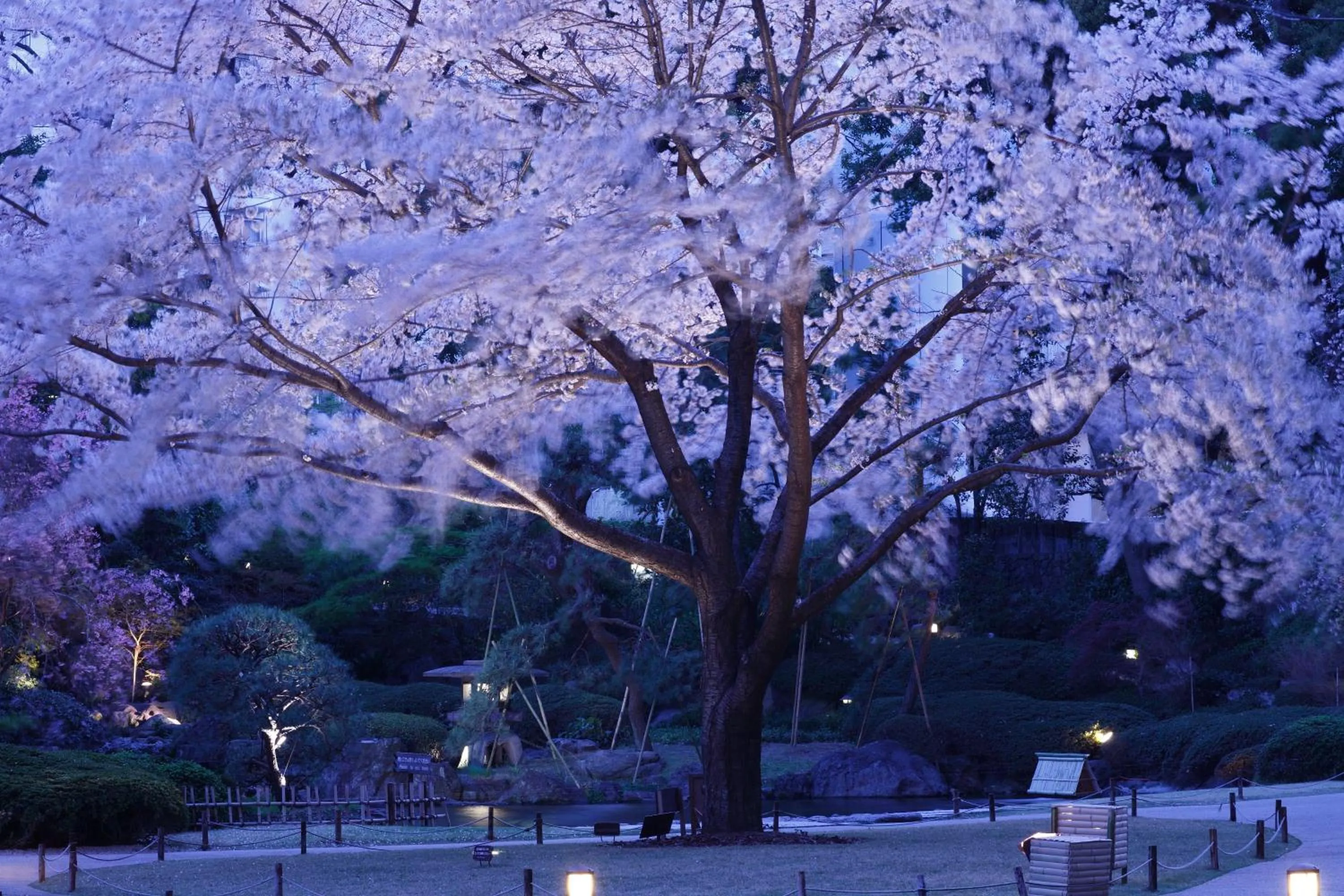 Garden in The Prince Sakura Tower Tokyo, Autograph Collection
