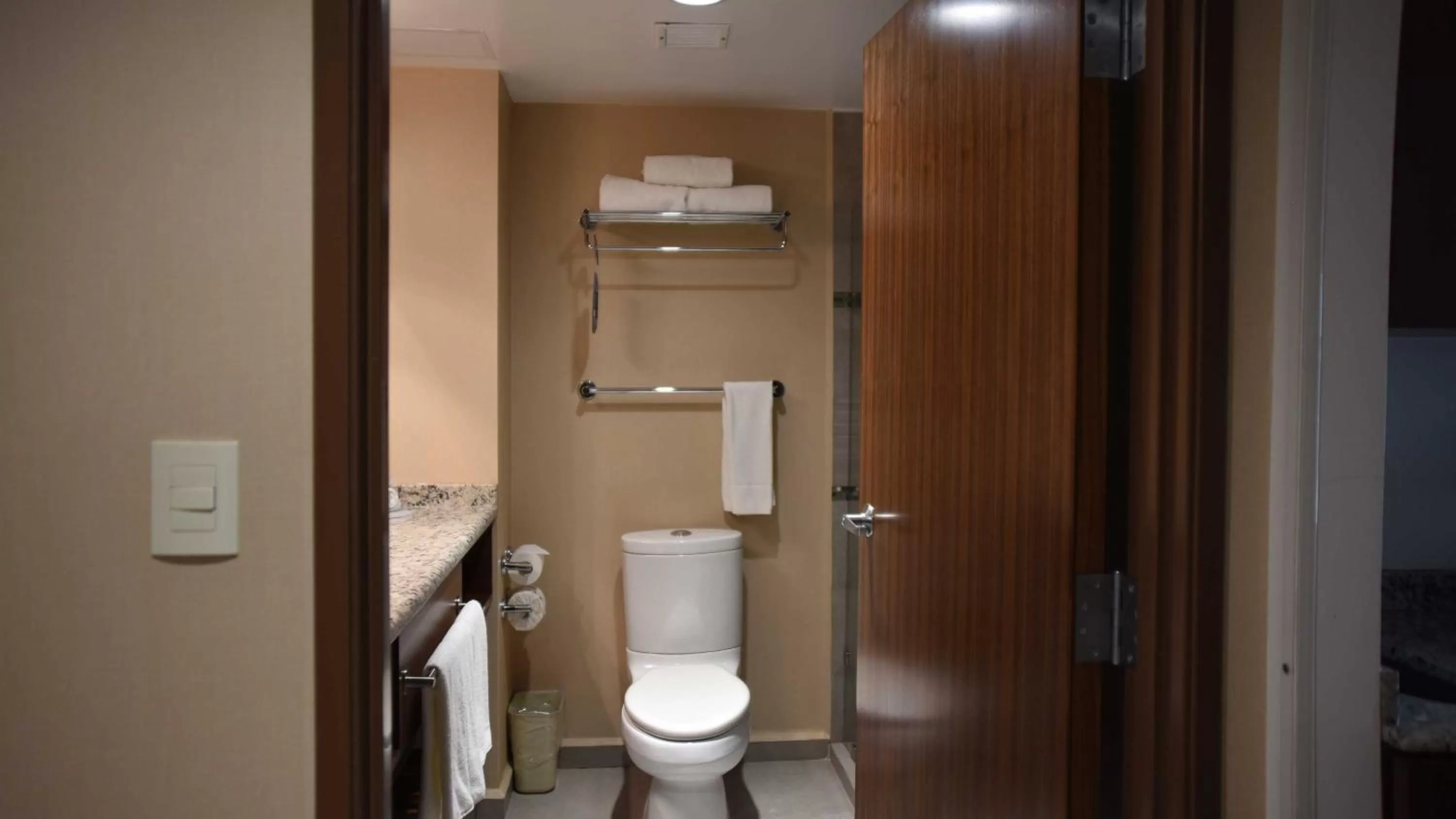 Toilet in Holiday Inn Express and Suites Celaya by IHG