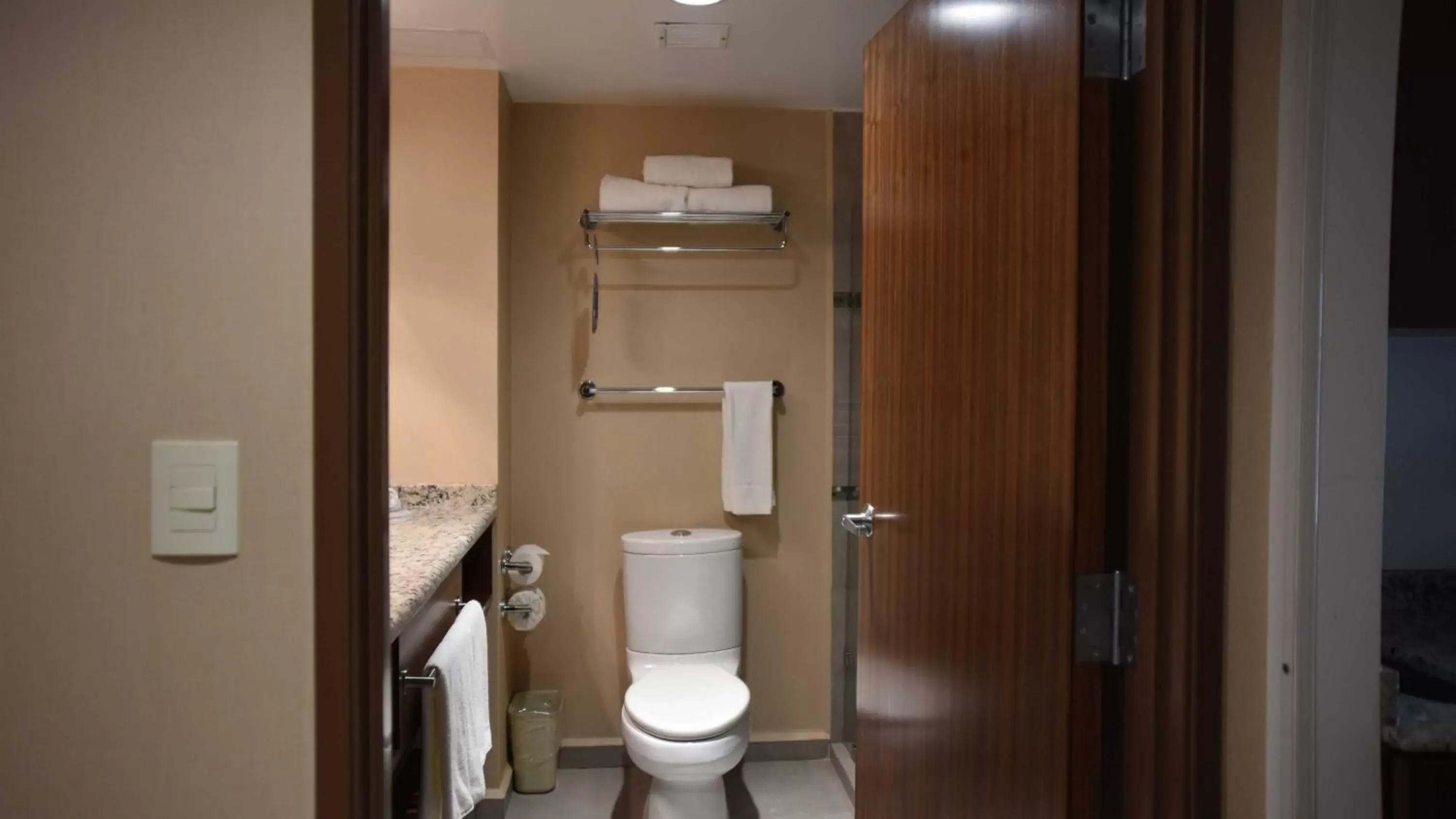 Toilet, Bathroom in Holiday Inn Express and Suites Celaya, an IHG Hotel