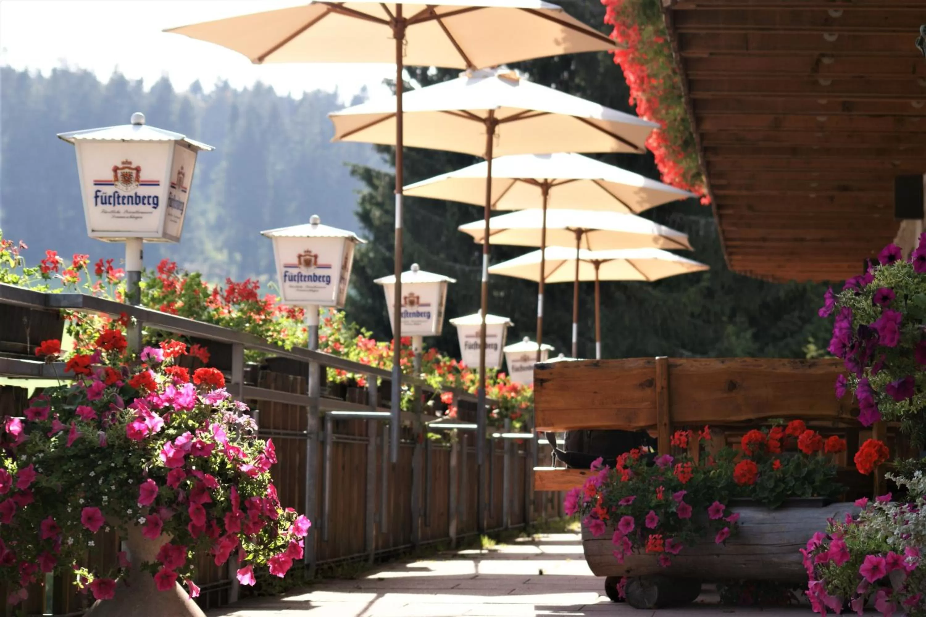 Balcony/Terrace in ZUR TRAUBE Schwarzwaldhotel & Restaurant am Titisee
