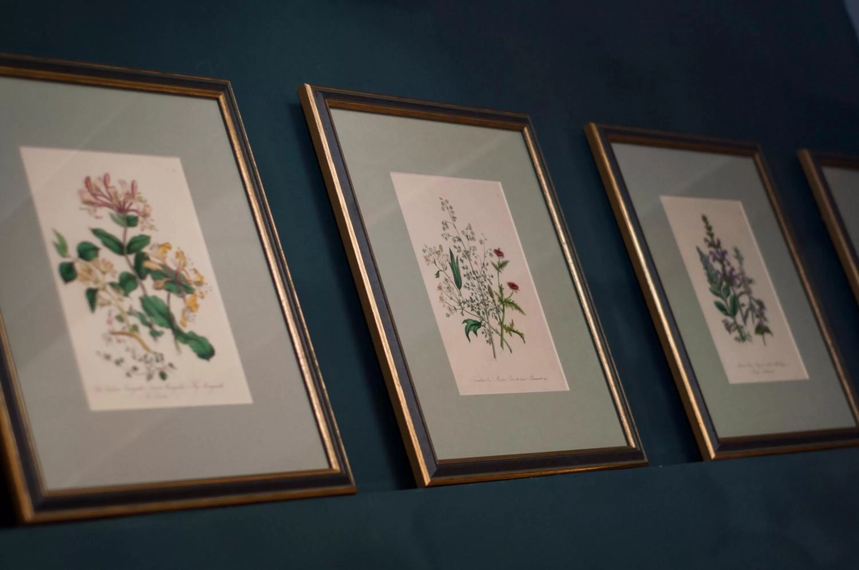 Decorative detail in The Coleridge Boutique Hotel In Valletta