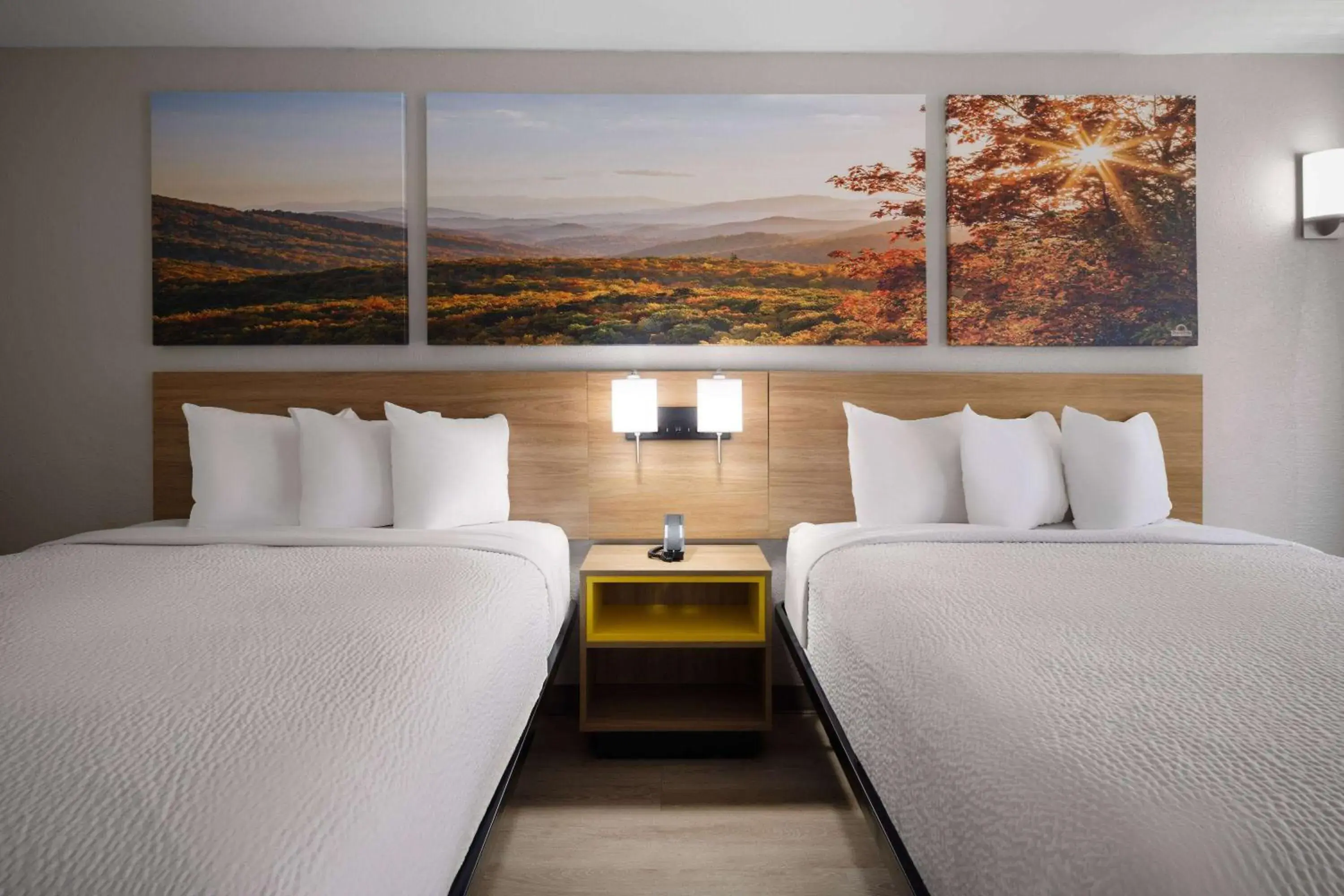 Photo of the whole room, Bed in Days-Inn by Wyndham Montgomery I-85