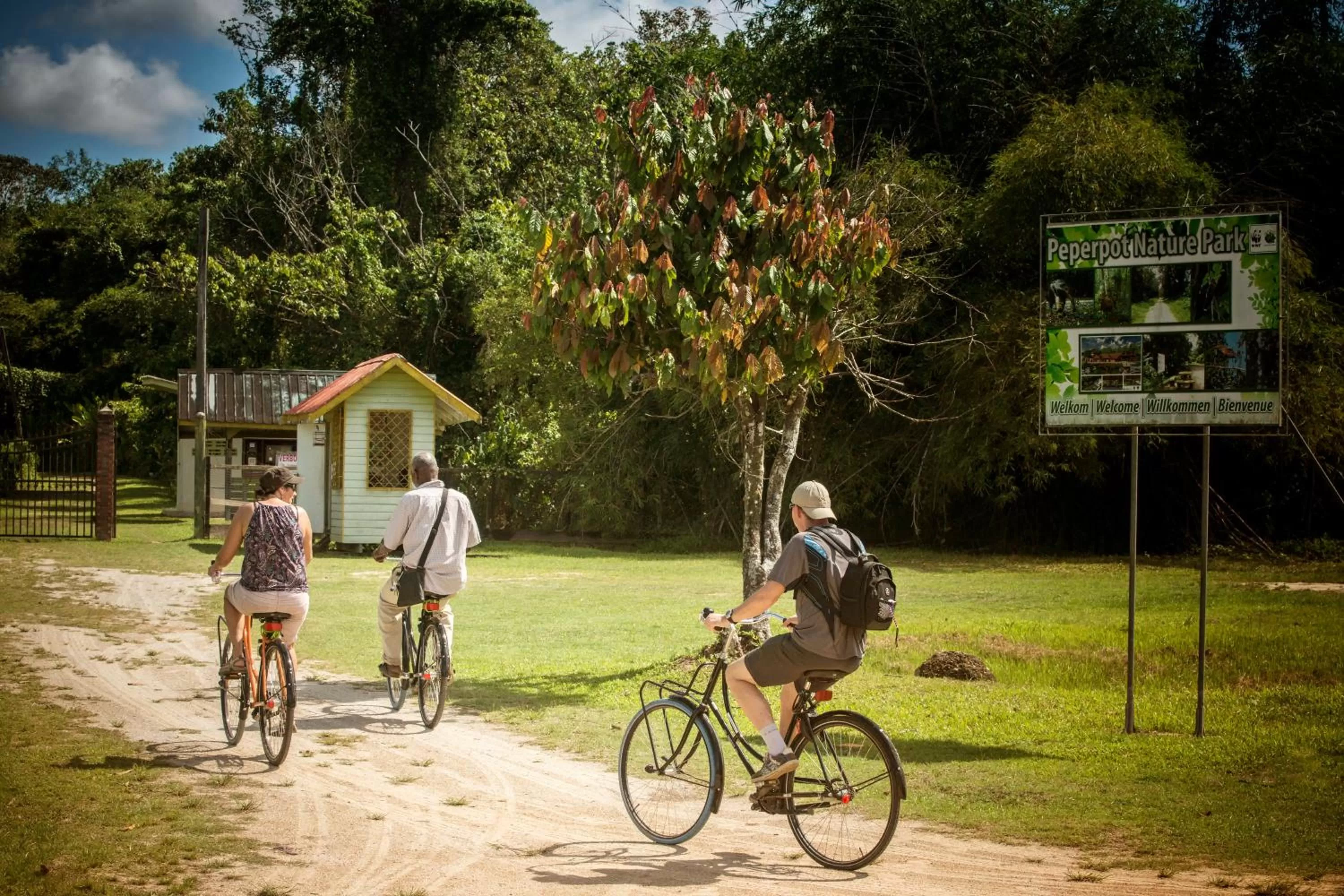 Day in Boutique Hotel Peperpot