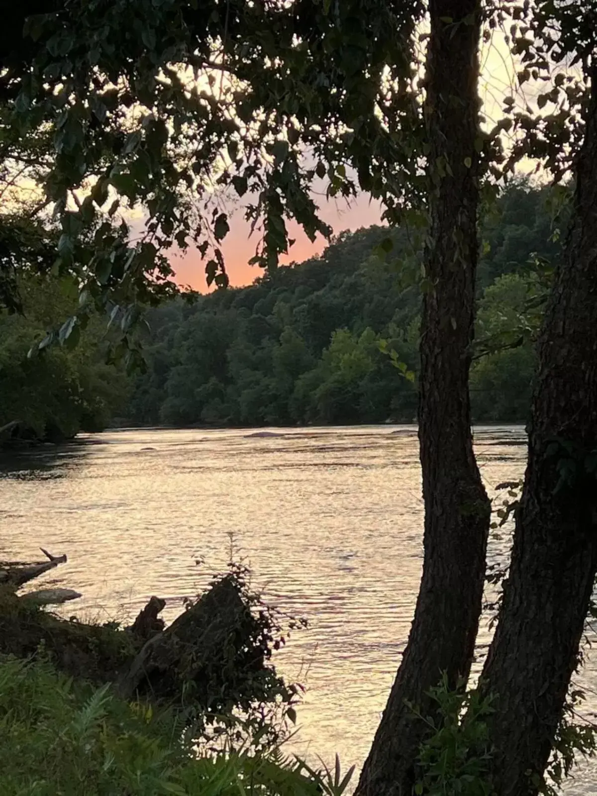 Asheville River Cabins