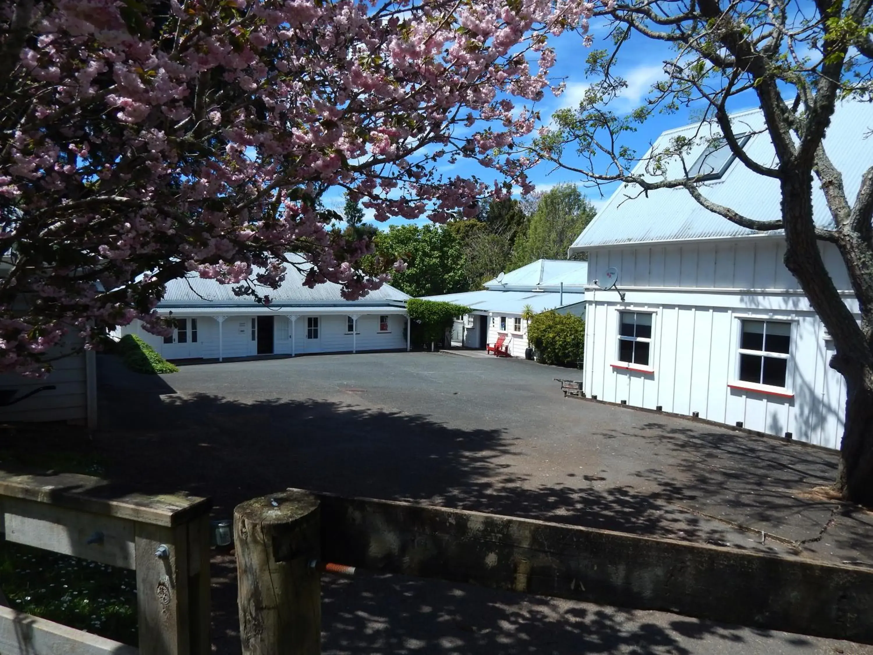 Spring in Lupton Lodge