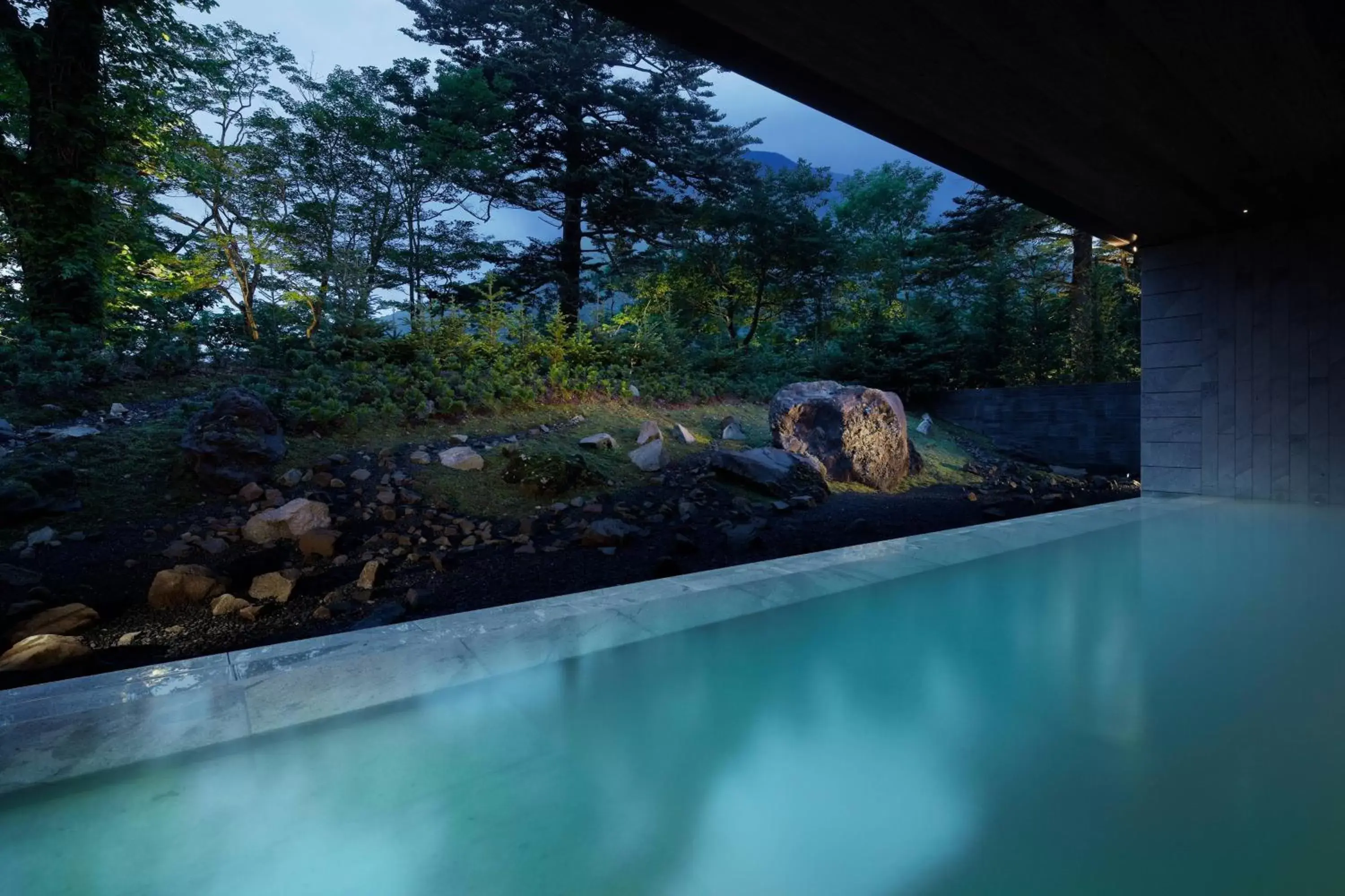 Spa and wellness centre/facilities, Swimming Pool in The Ritz-Carlton, Nikko