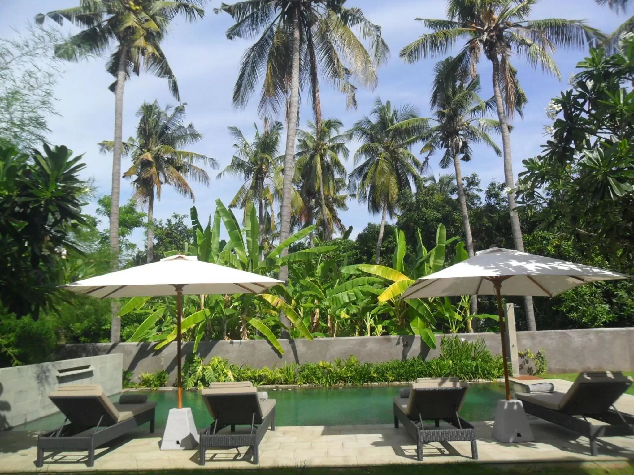 Swimming Pool in Ju'Blu Hotel