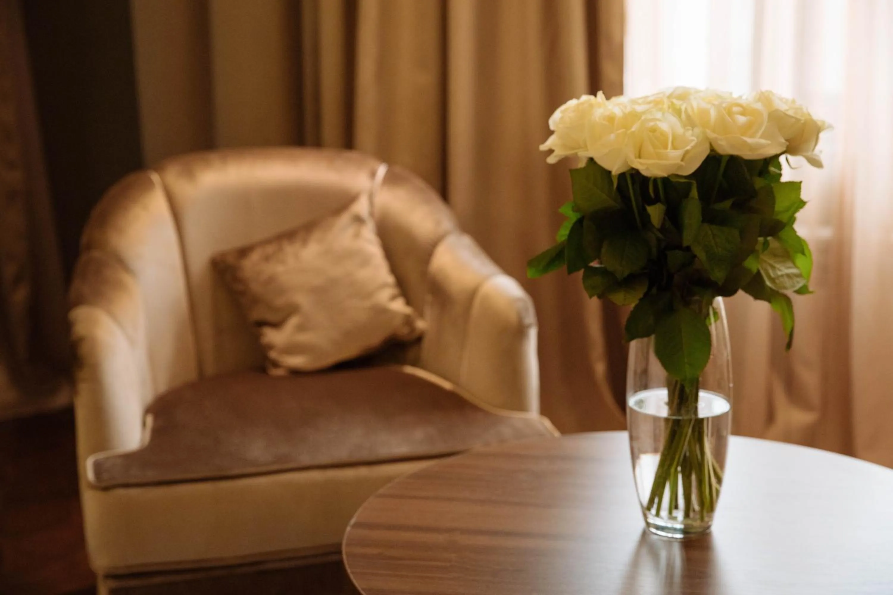 Area and facilities in Garden Park Inn